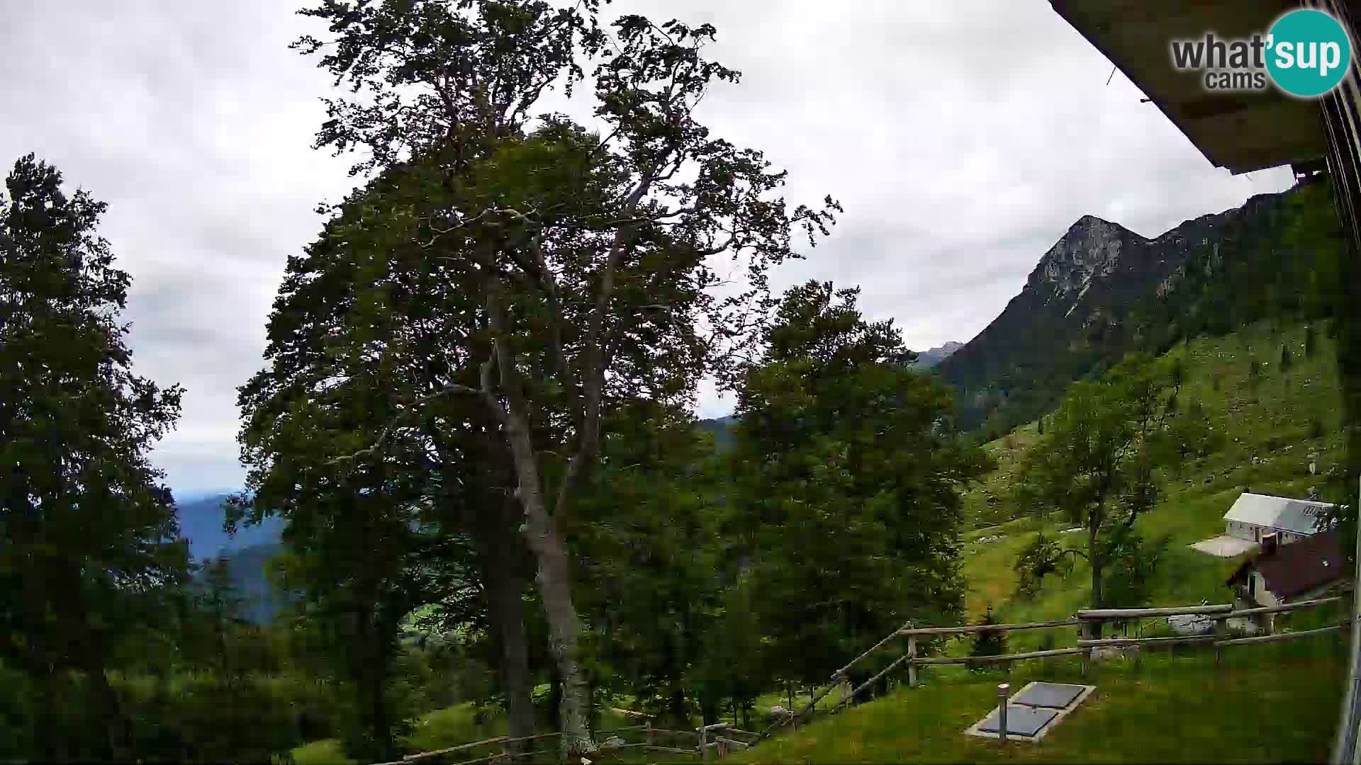 Baita di montagna Planina Razor webcam (1315) | vista su Tolminski Migovec