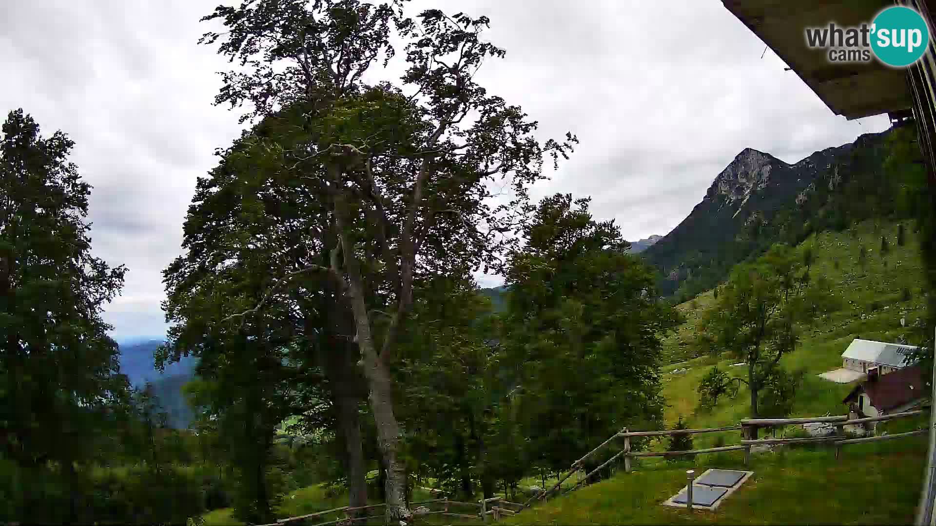 Baita di montagna Planina Razor webcam (1315) | vista su Tolminski Migovec