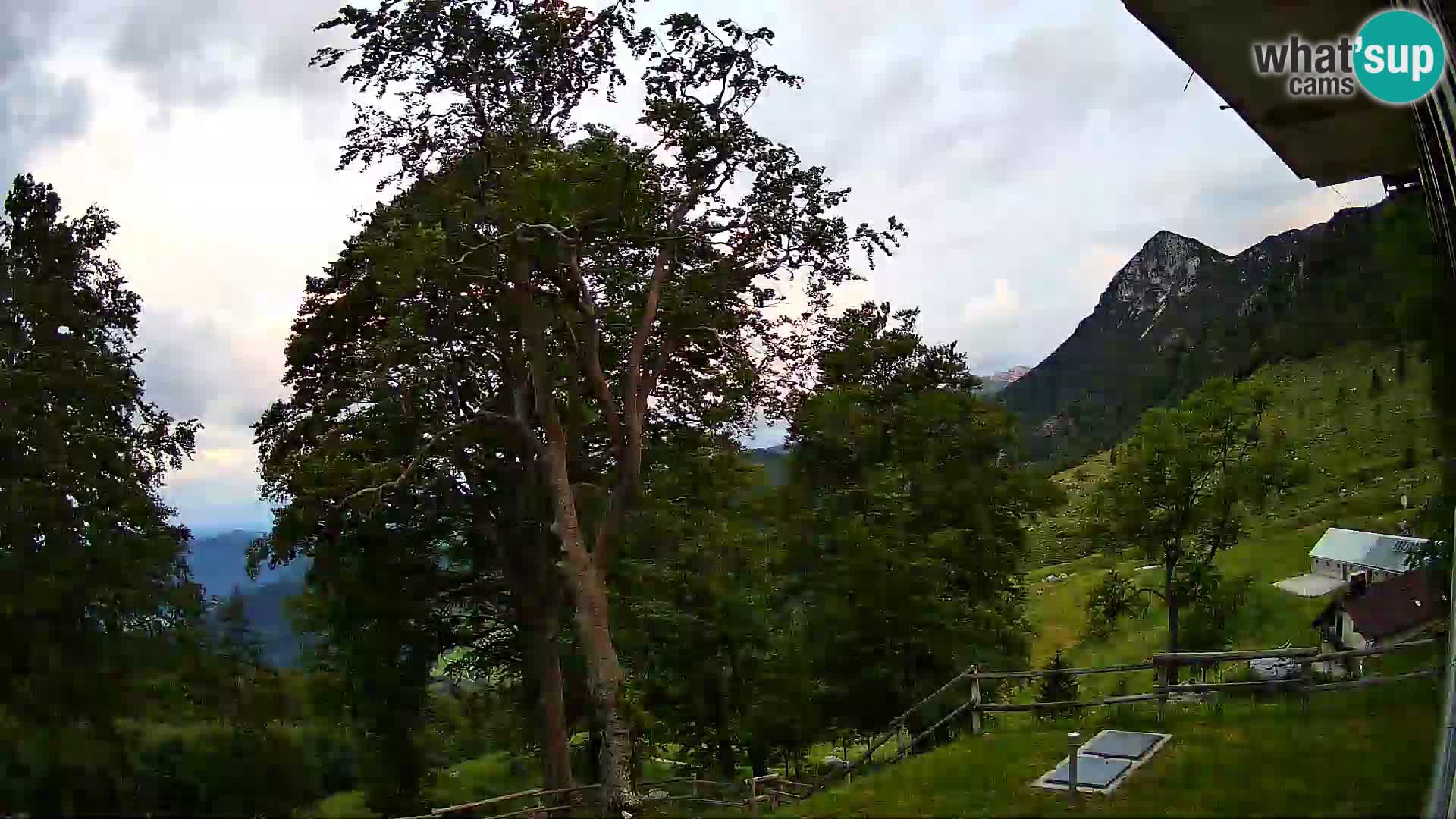 Planina Razor Bergütte Webcam (1315) | Blick auf Tolminski Migovec