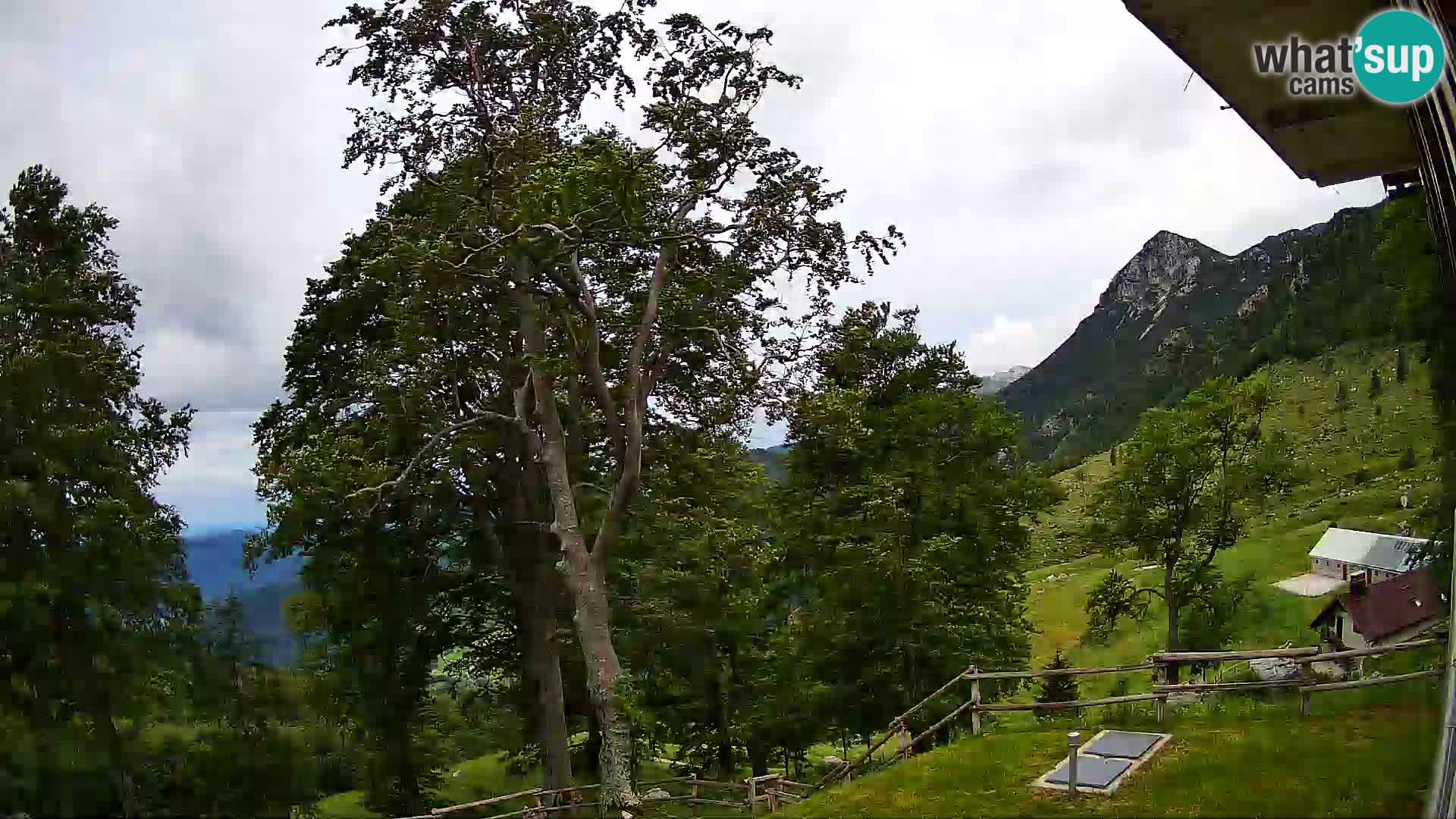 Cámara en vivo de la cabaña de montaña Planina Razor (1315) | vista hacia Tolminski Migovec