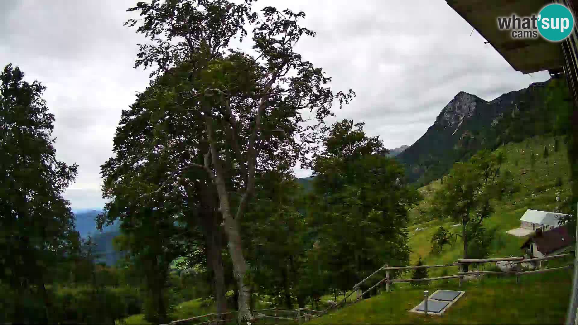 Cámara en vivo de la cabaña de montaña Planina Razor (1315) | vista hacia Tolminski Migovec