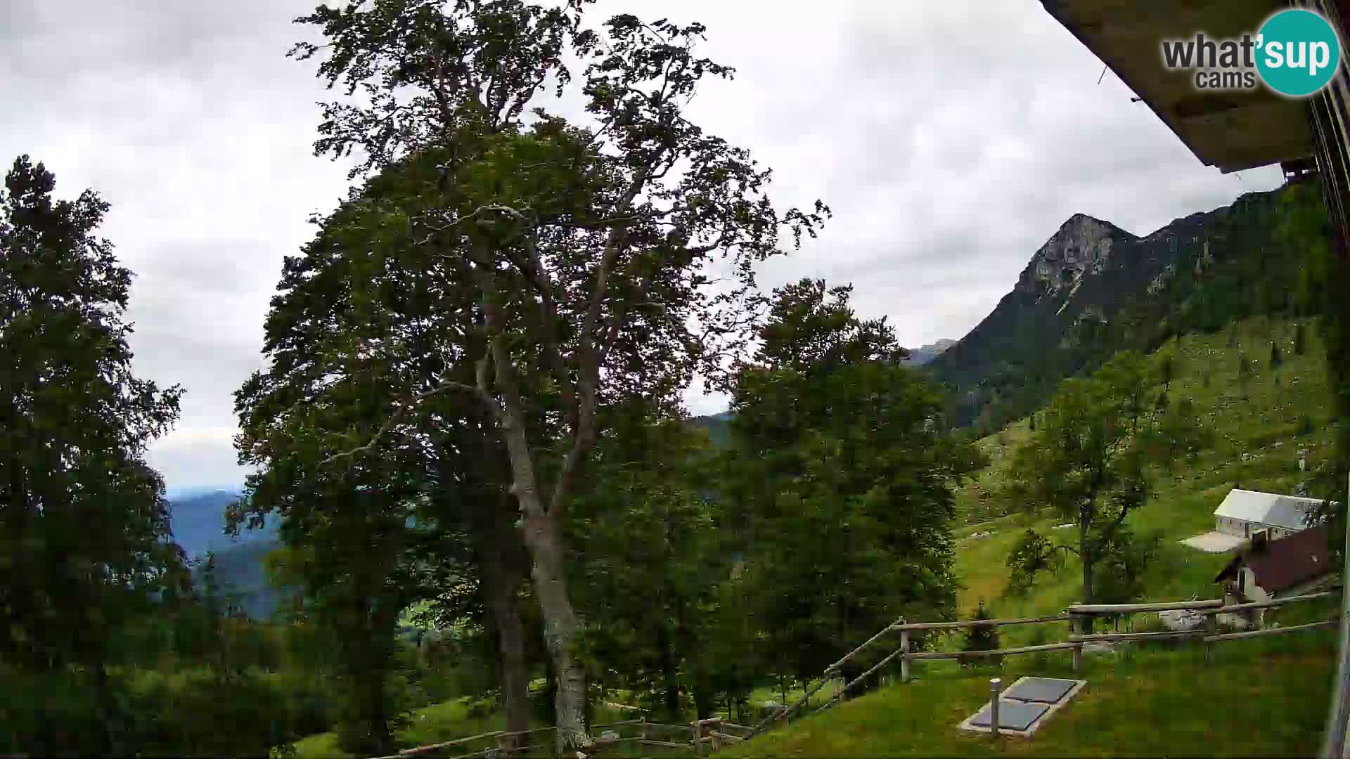 Cámara en vivo de la cabaña de montaña Planina Razor (1315) | vista hacia Tolminski Migovec