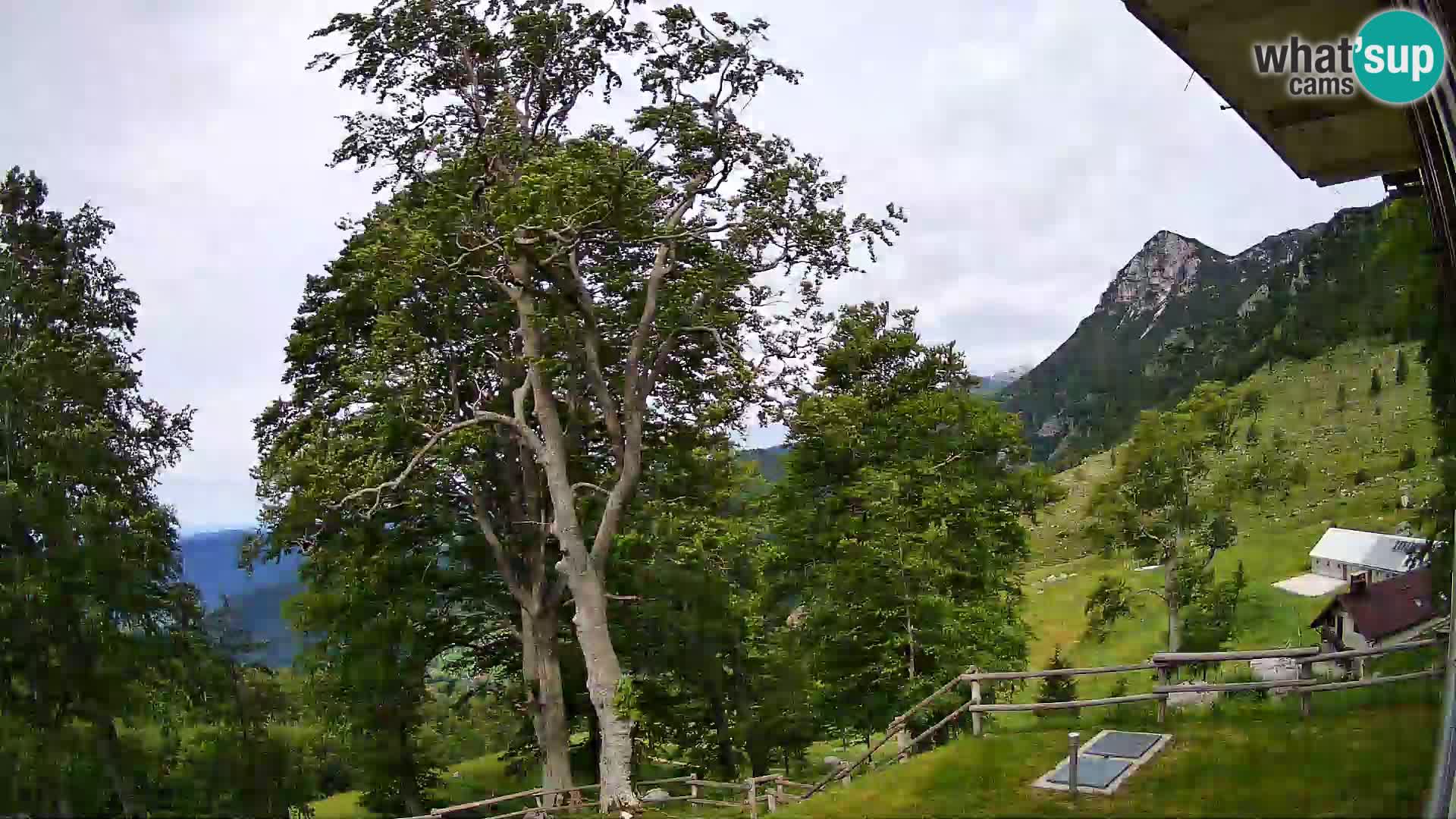 Cámara en vivo de la cabaña de montaña Planina Razor (1315) | vista hacia Tolminski Migovec