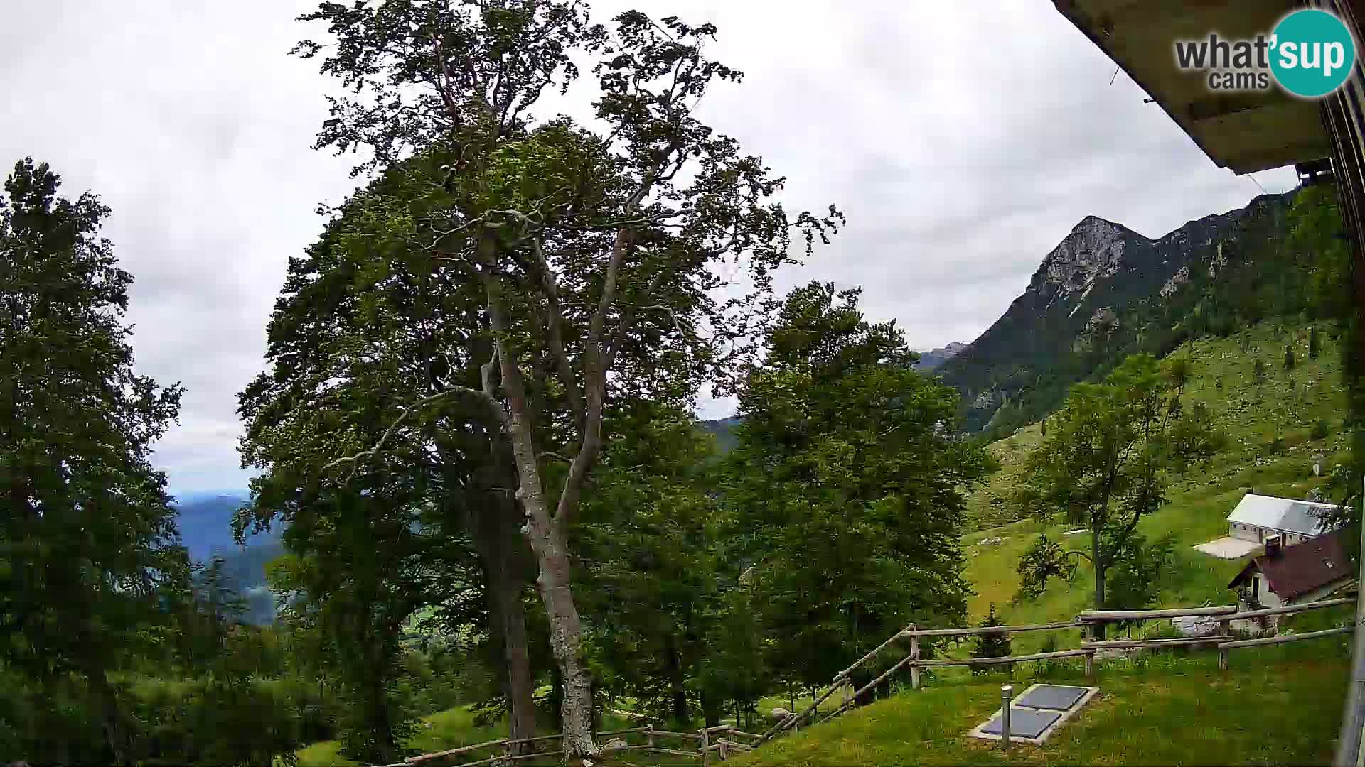 Refuge de la montagne Planina Razor caméra en direct (1315) | vue sur Tolminski Migovec
