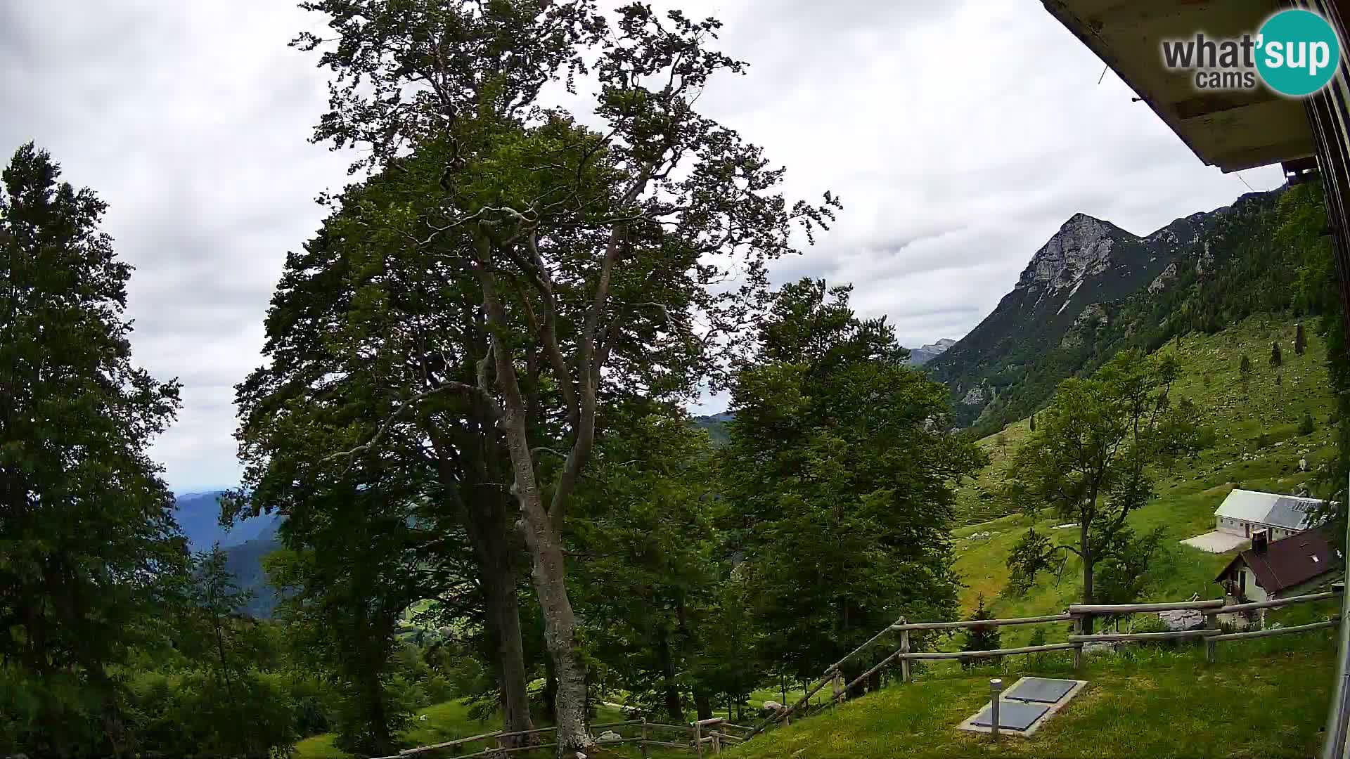 Cámara en vivo de la cabaña de montaña Planina Razor (1315) | vista hacia Tolminski Migovec