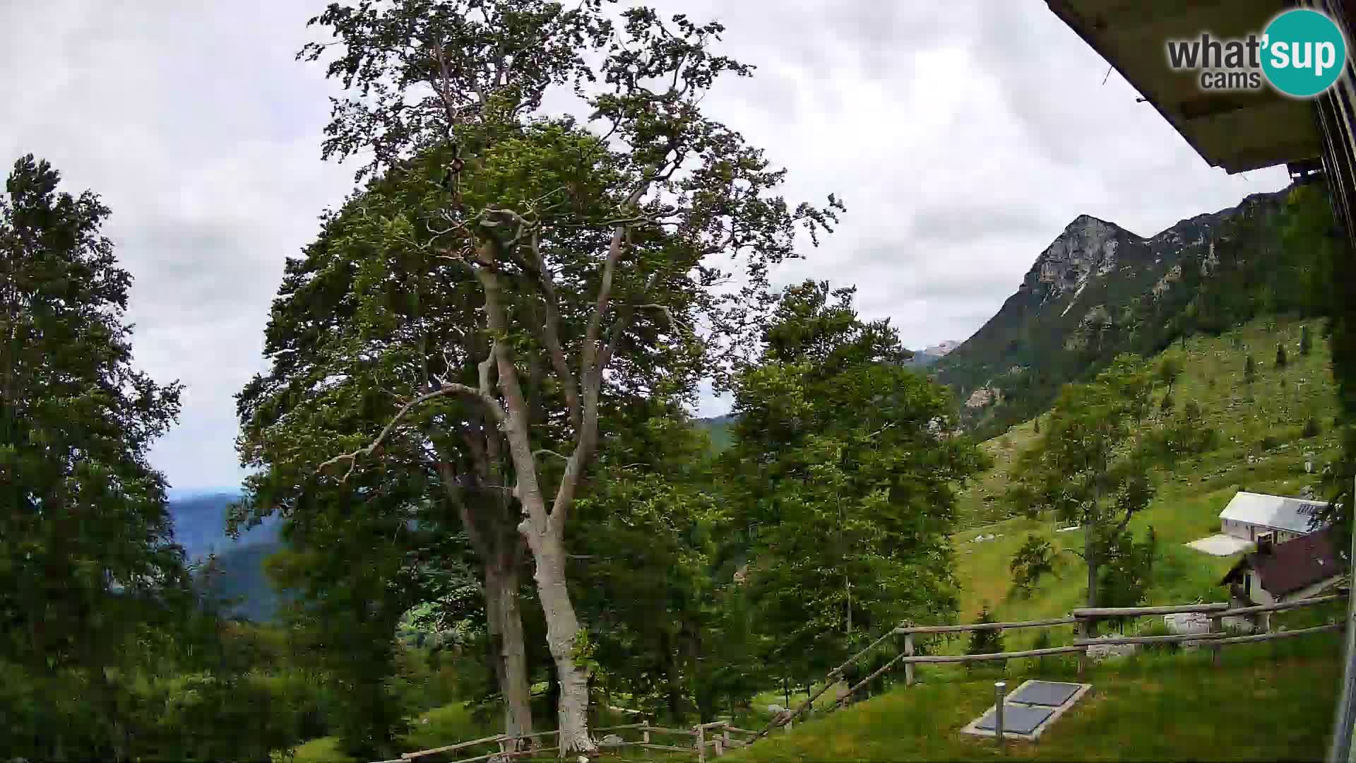 Planina Razor Mountain Hut live cam (1315) | view to Tolminski Migovec