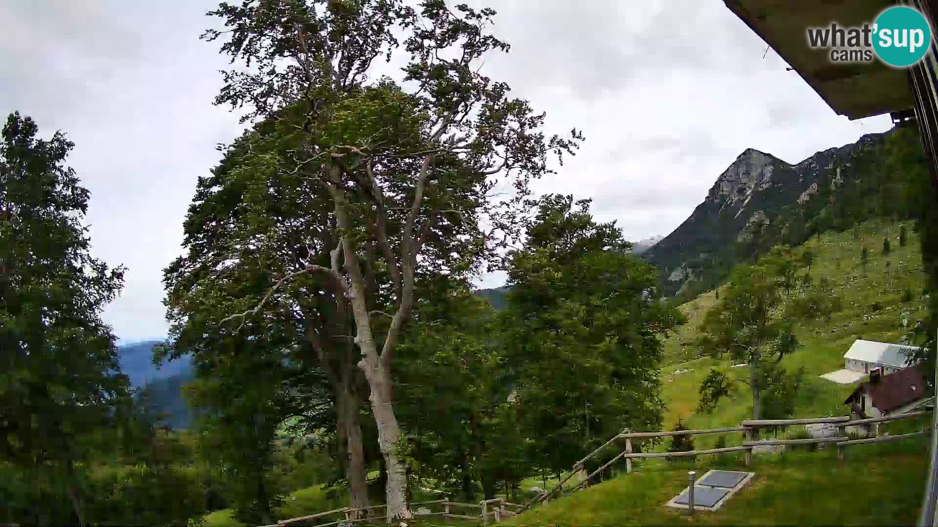 Planina Razor Mountain Hut live cam (1315) | view to Tolminski Migovec