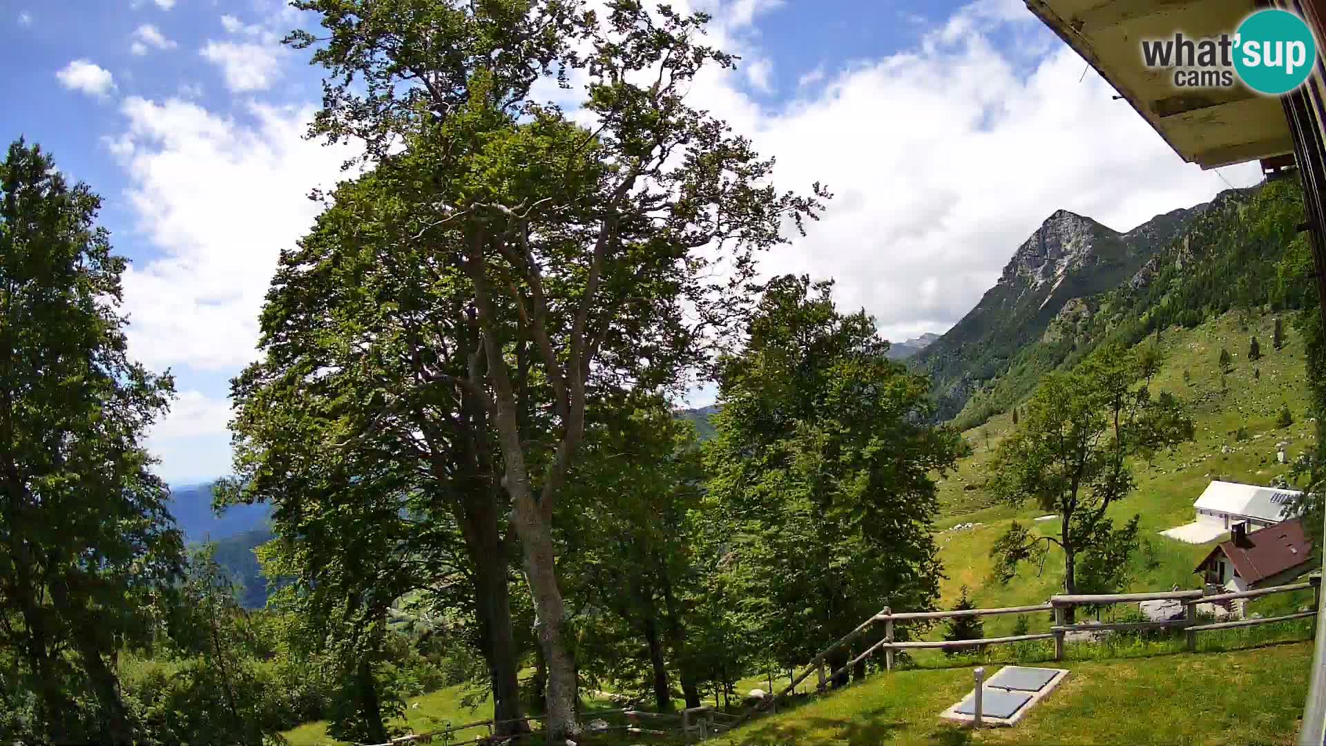 Baita di montagna Planina Razor webcam (1315) | vista su Tolminski Migovec