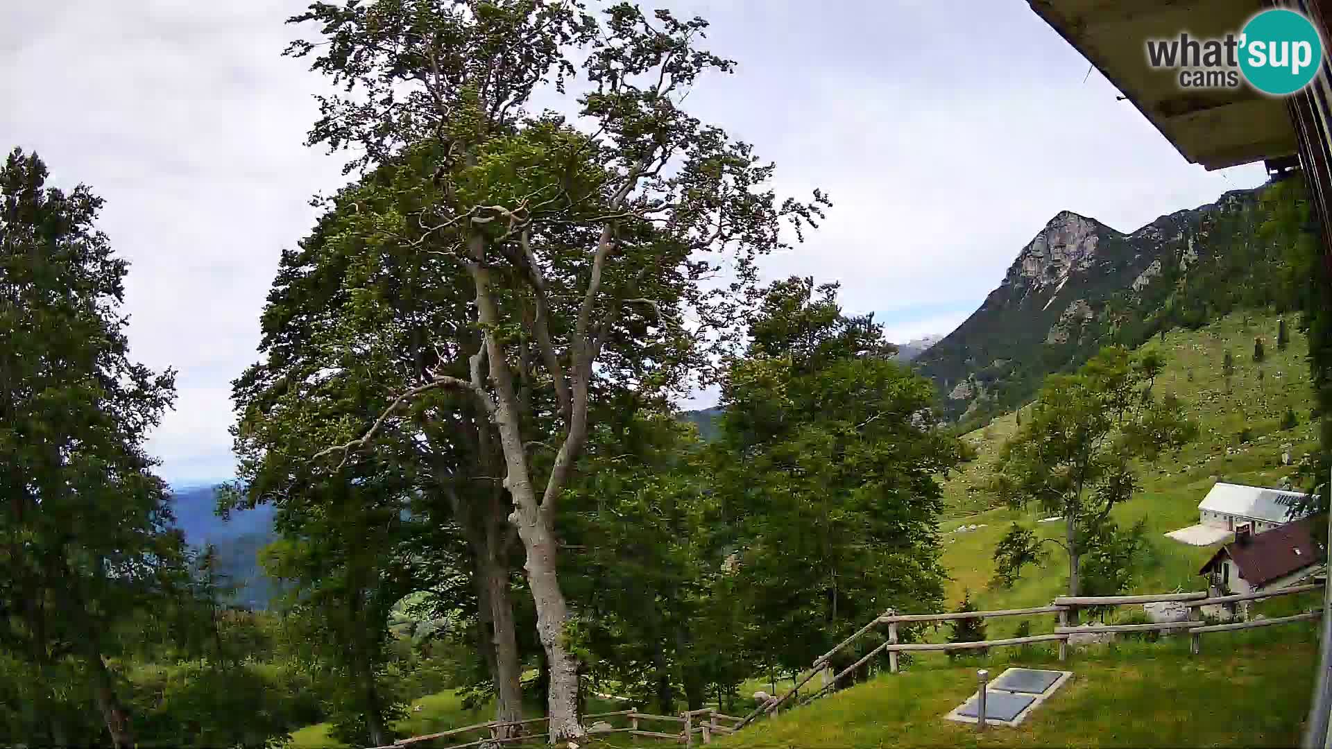 Refuge de la montagne Planina Razor caméra en direct (1315) | vue sur Tolminski Migovec