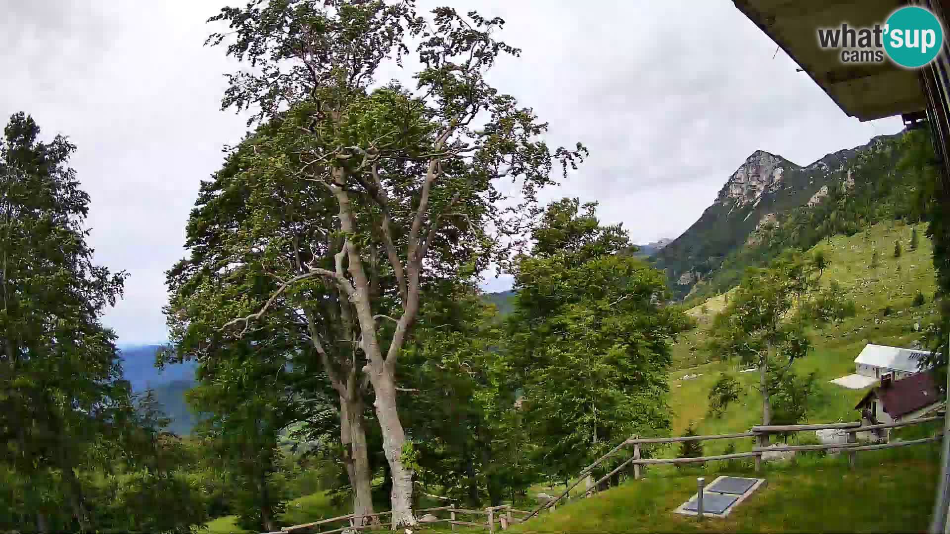 Refuge de la montagne Planina Razor caméra en direct (1315) | vue sur Tolminski Migovec