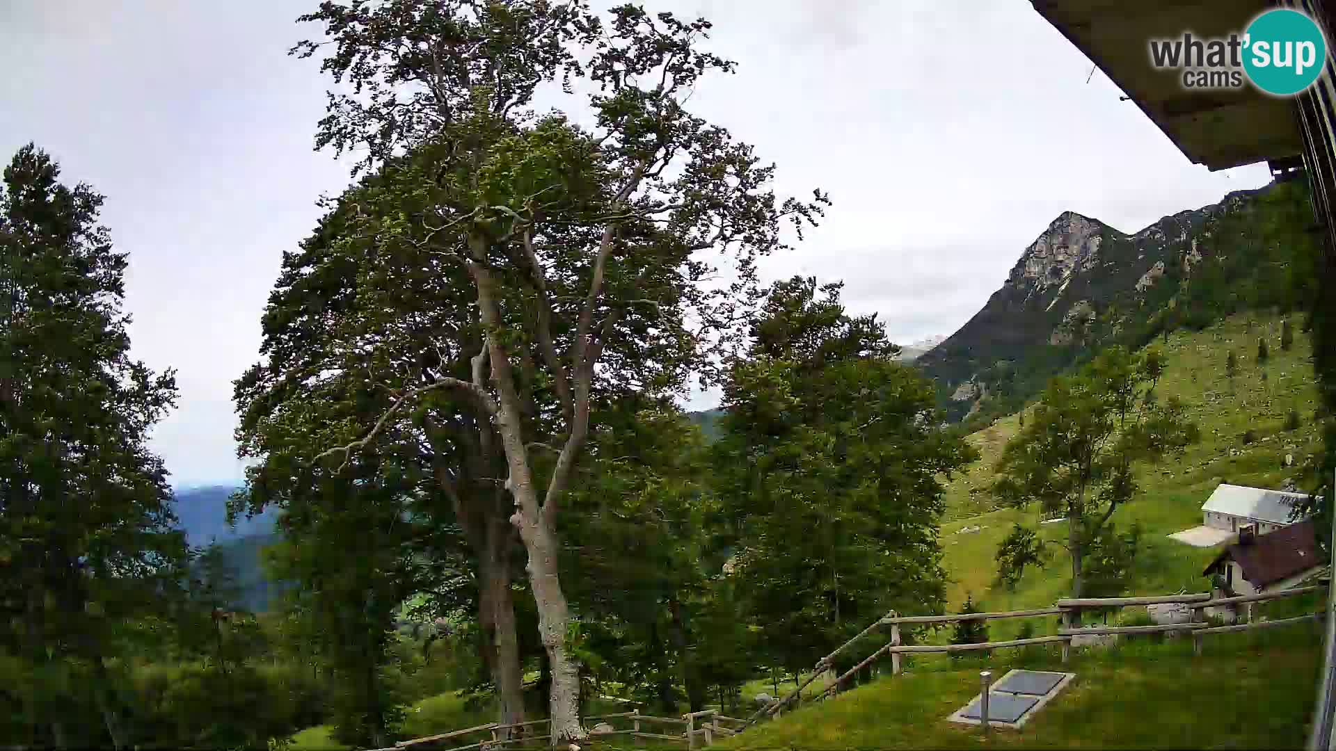 Planina Razor Mountain Hut live cam (1315) | view to Tolminski Migovec