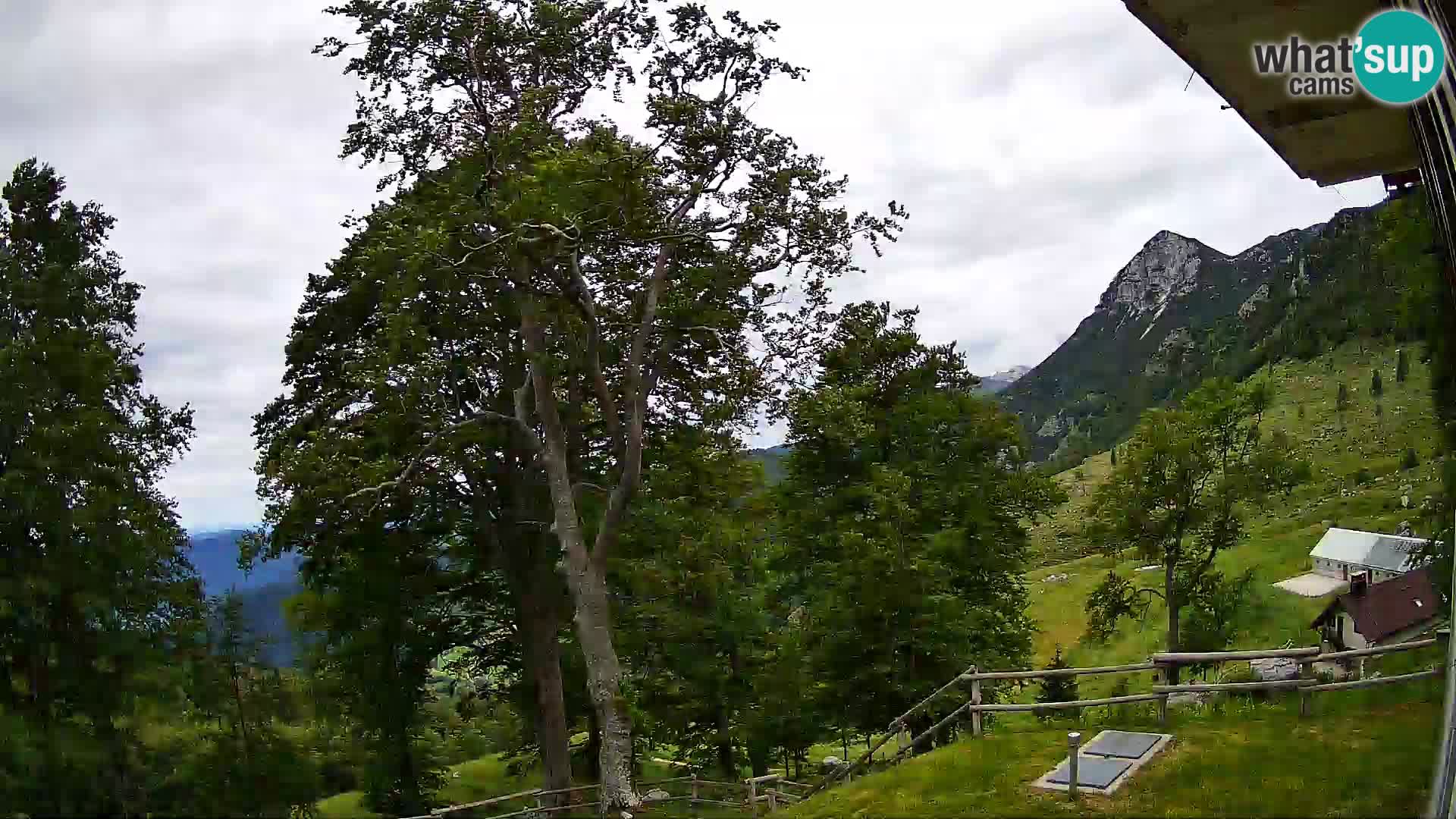 Planina Razor Bergütte Webcam (1315) | Blick auf Tolminski Migovec