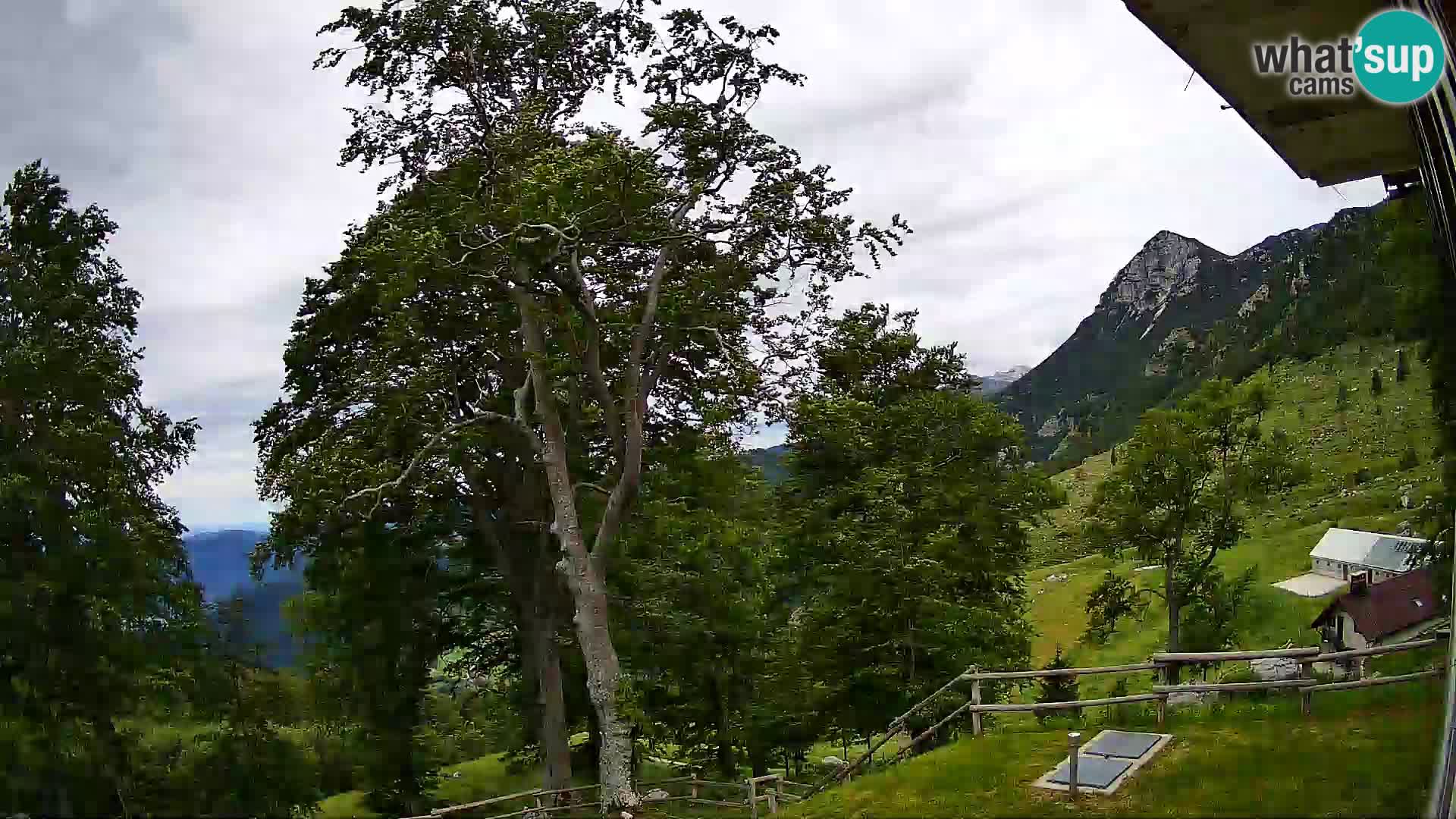 Cámara en vivo de la cabaña de montaña Planina Razor (1315) | vista hacia Tolminski Migovec