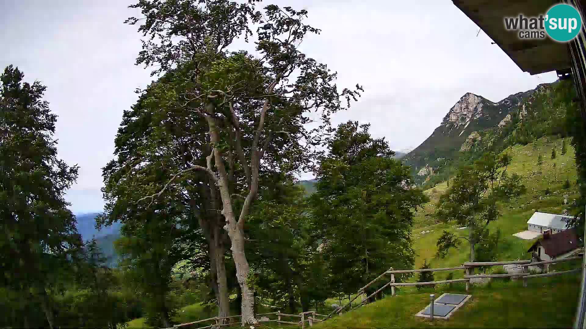Cámara en vivo de la cabaña de montaña Planina Razor (1315) | vista hacia Tolminski Migovec