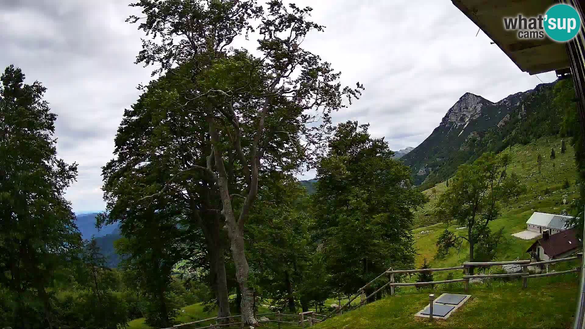 Baita di montagna Planina Razor webcam (1315) | vista su Tolminski Migovec