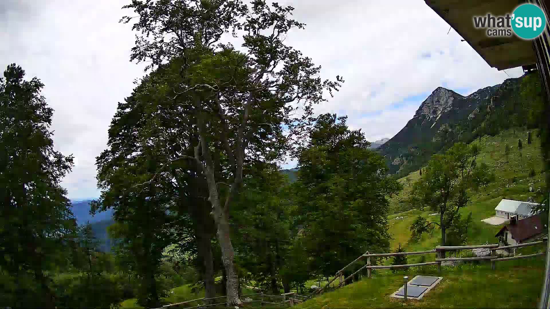 Baita di montagna Planina Razor webcam (1315) | vista su Tolminski Migovec