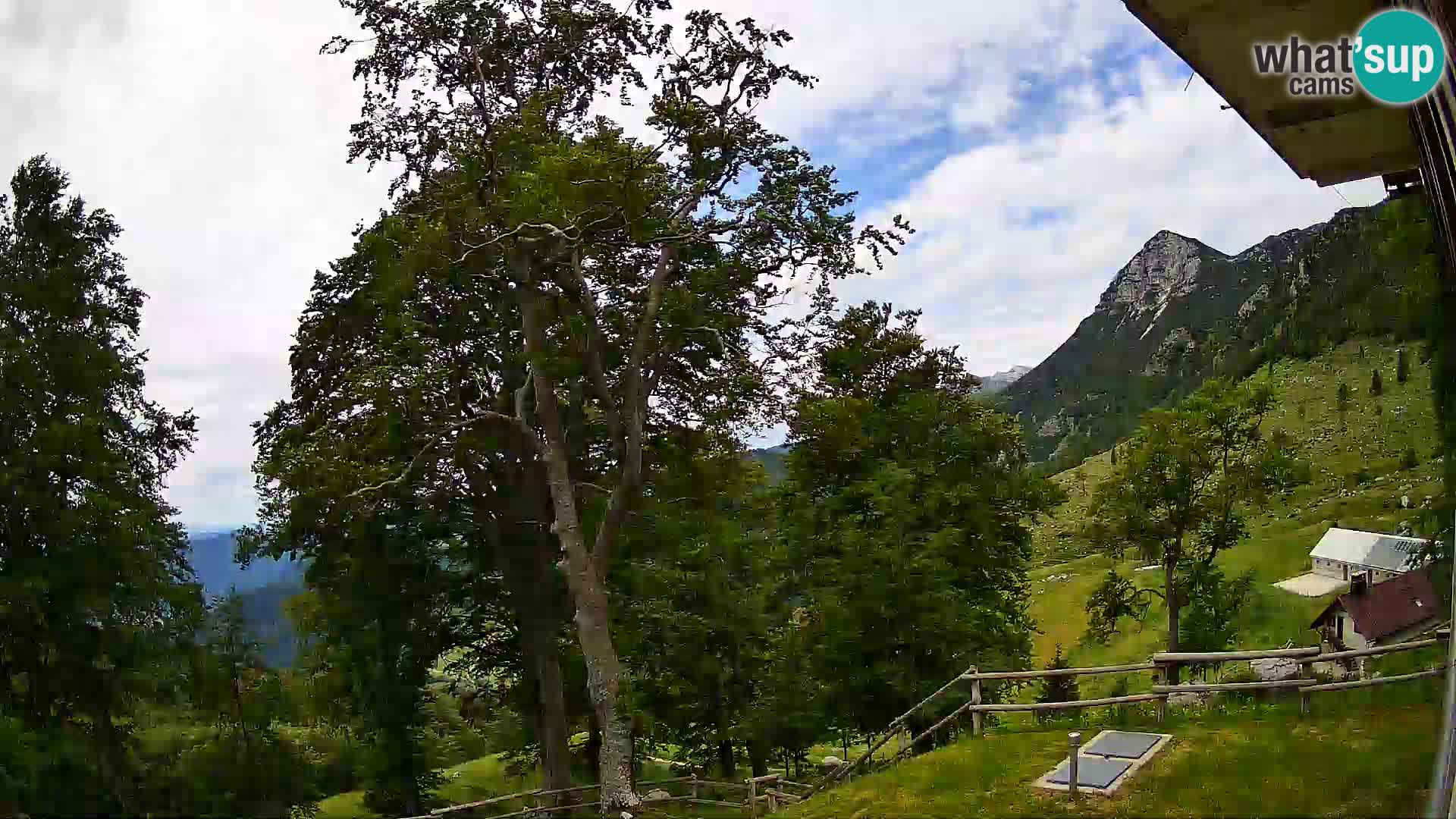 Baita di montagna Planina Razor webcam (1315) | vista su Tolminski Migovec