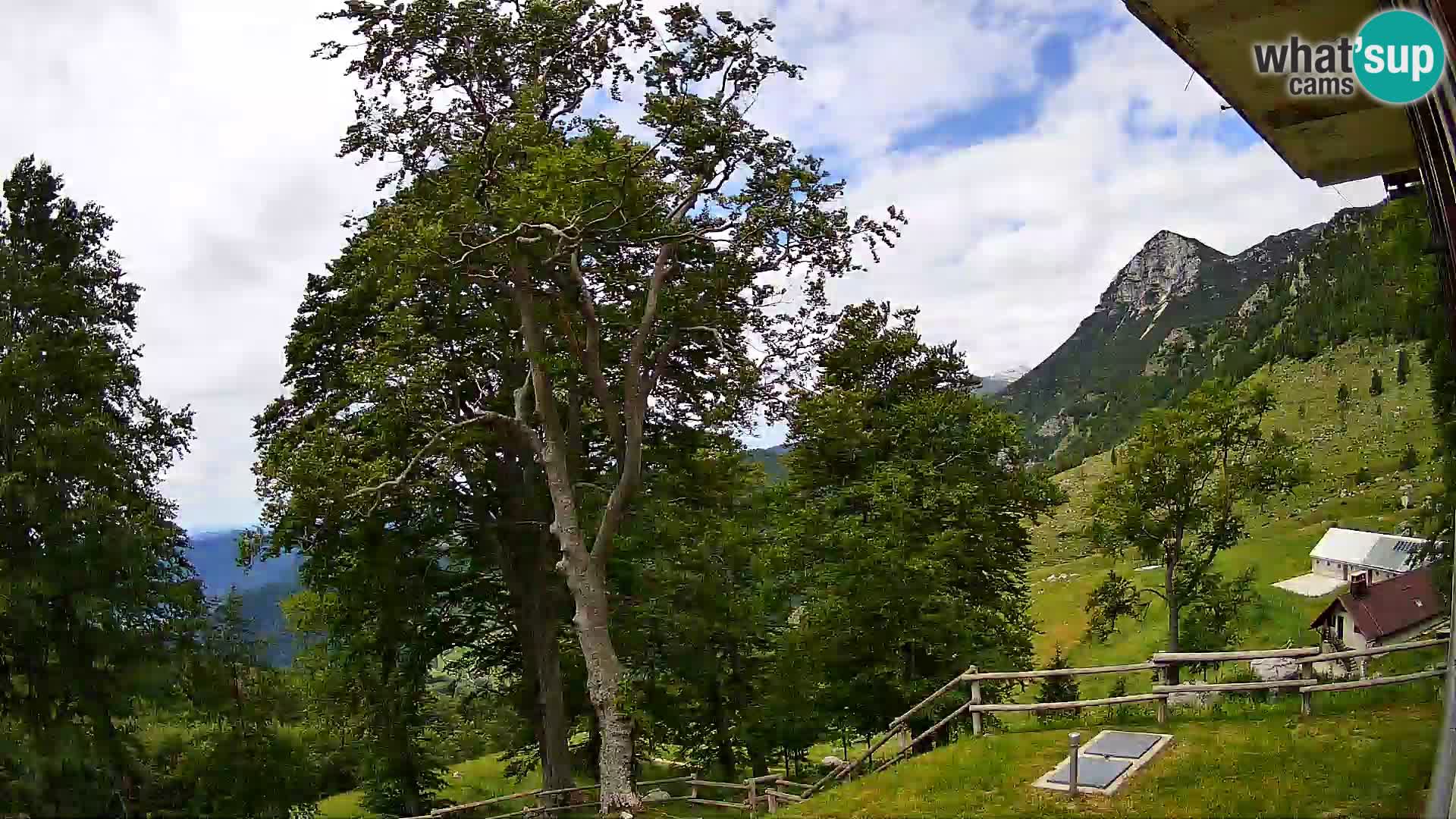 Baita di montagna Planina Razor webcam (1315) | vista su Tolminski Migovec