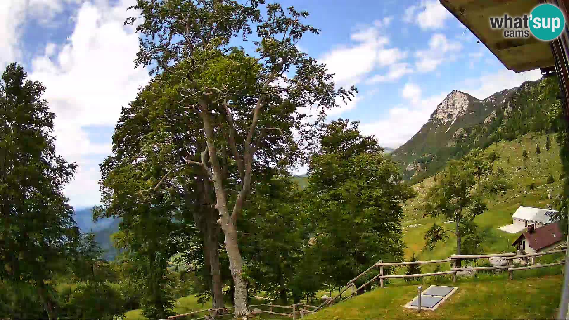 Planina Razor Bergütte Webcam (1315) | Blick auf Tolminski Migovec
