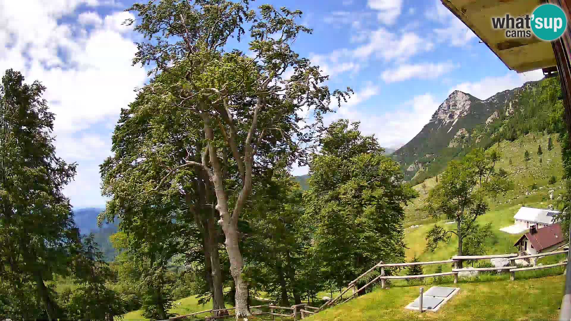 Planina Razor Bergütte Webcam (1315) | Blick auf Tolminski Migovec