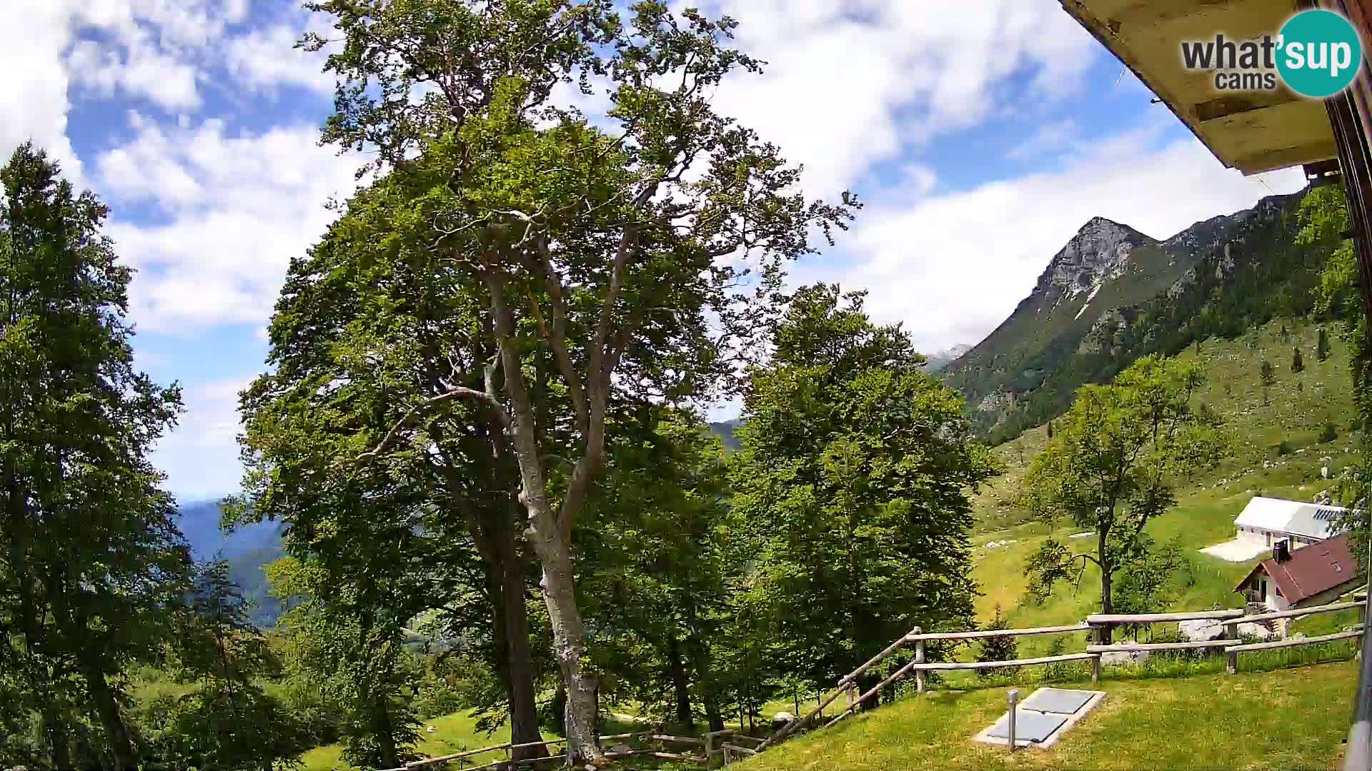 Planina Razor Mountain Hut live cam (1315) | view to Tolminski Migovec