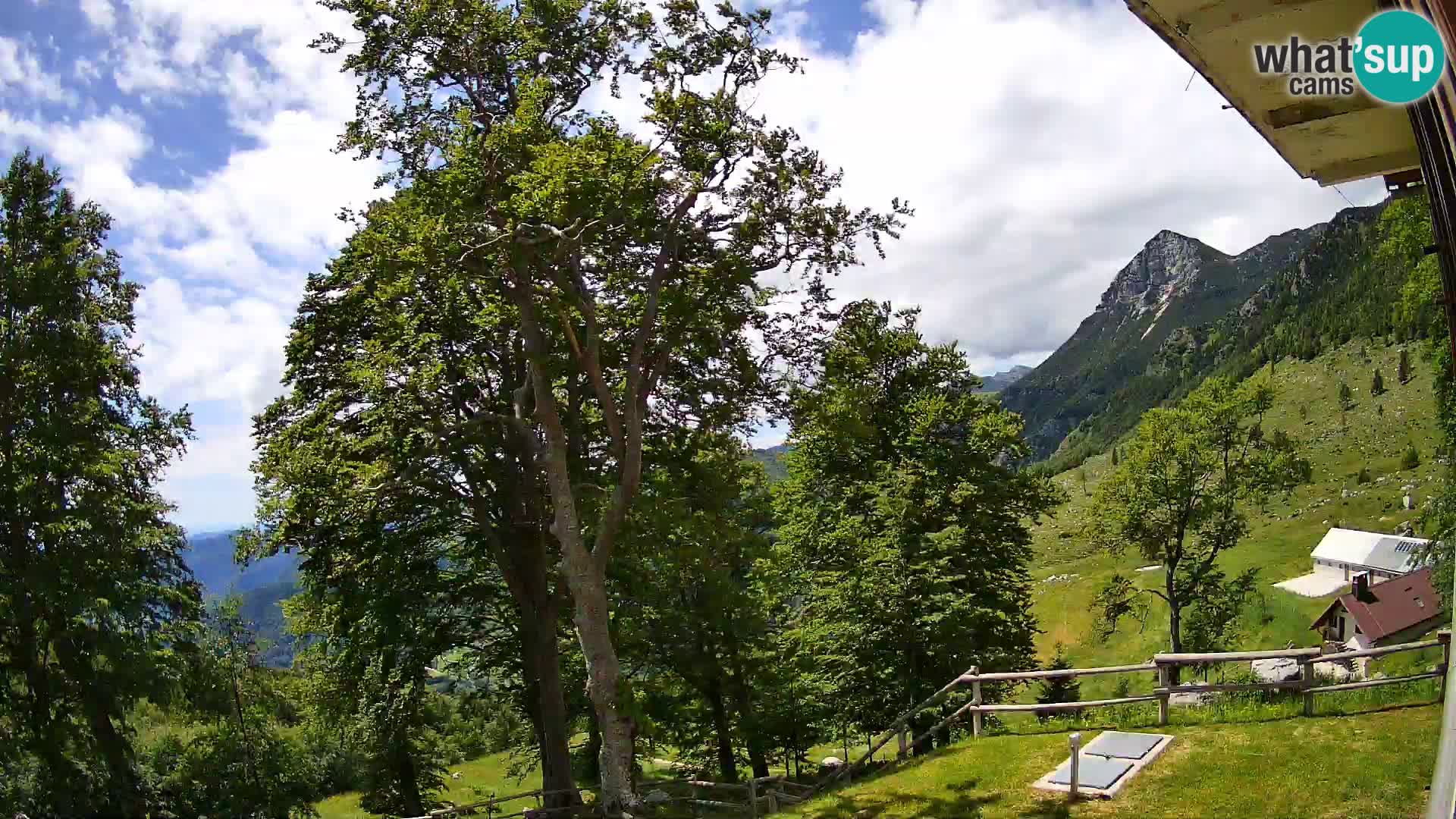 Planina Razor Bergütte Webcam (1315) | Blick auf Tolminski Migovec