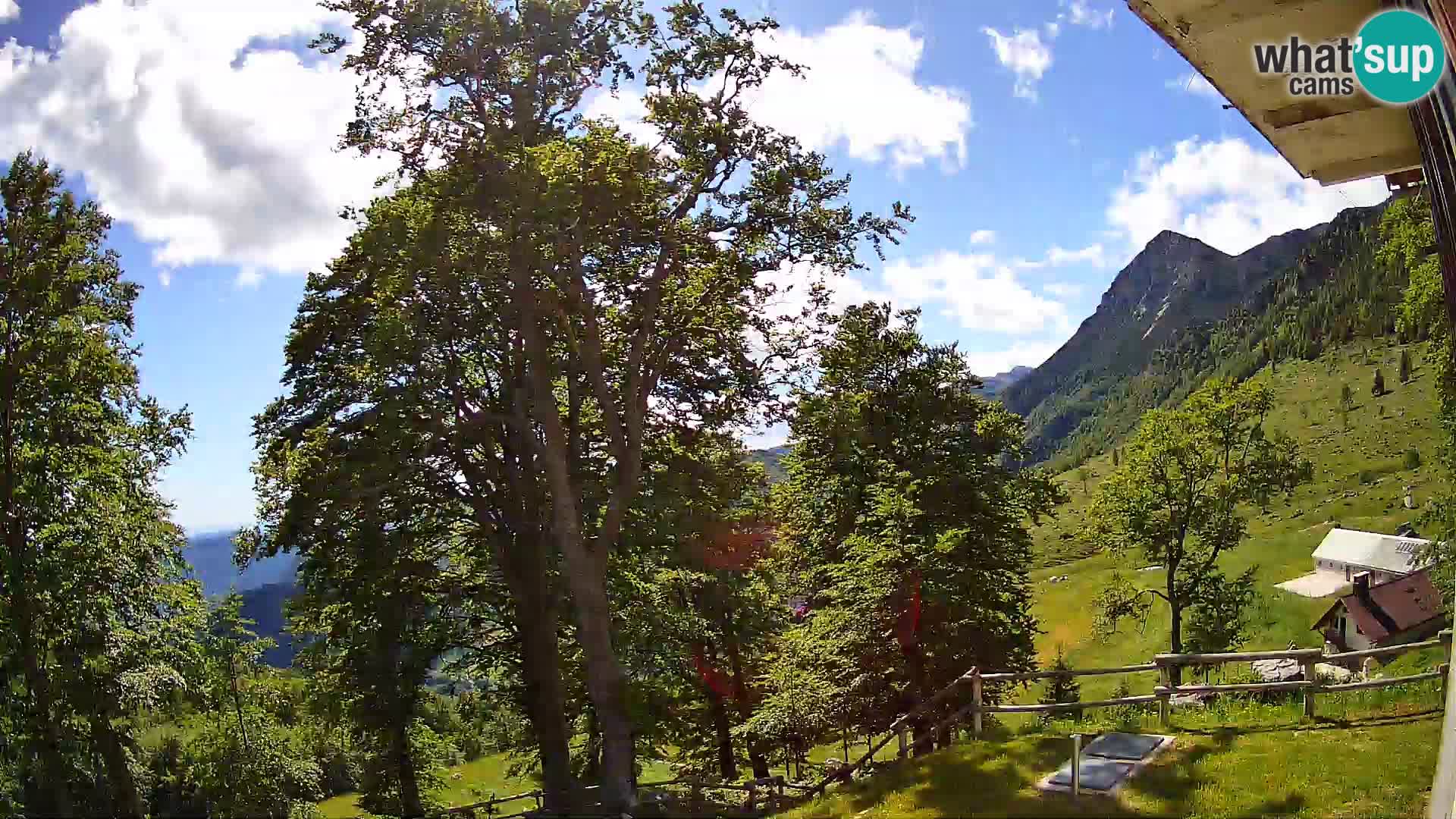 Baita di montagna Planina Razor webcam (1315) | vista su Tolminski Migovec