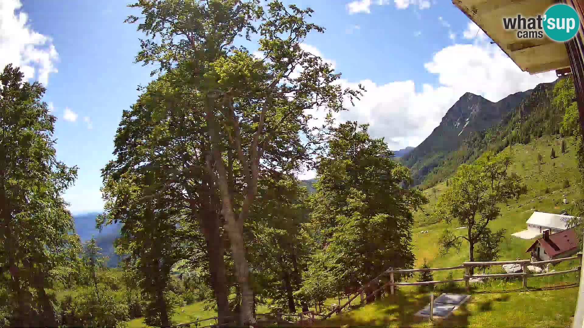 Planina Razor Mountain Hut live cam (1315) | view to Tolminski Migovec