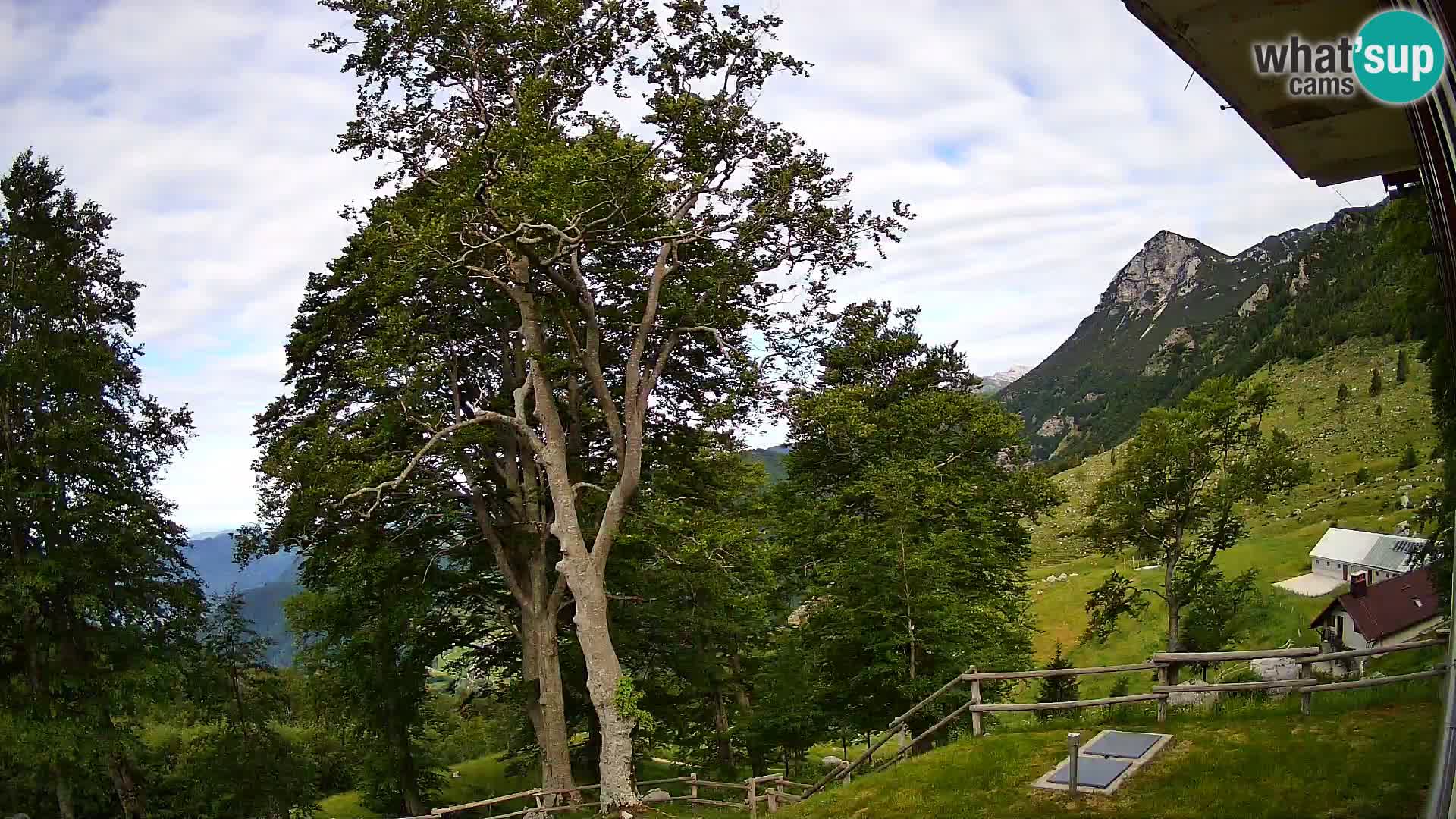 Planina Razor Bergütte Webcam (1315) | Blick auf Tolminski Migovec