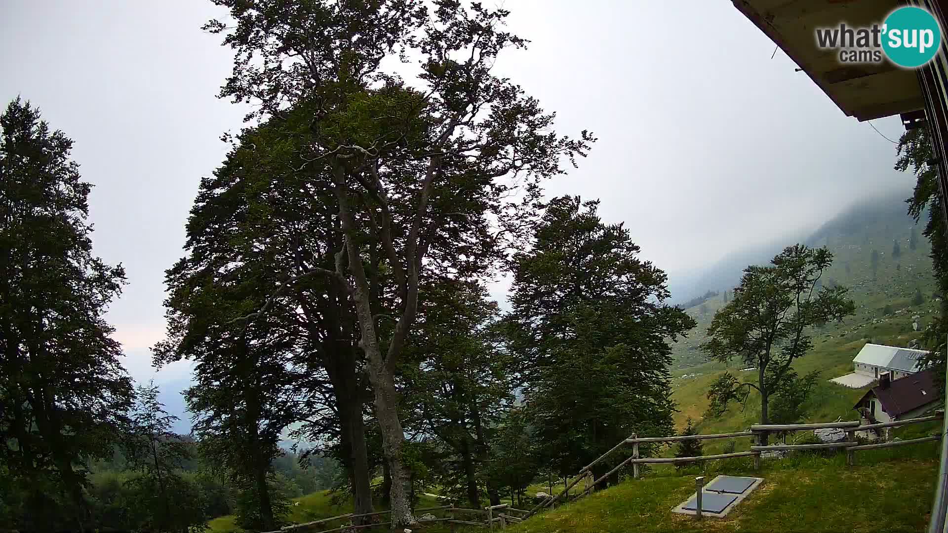 Planina Razor Bergütte Webcam (1315) | Blick auf Tolminski Migovec