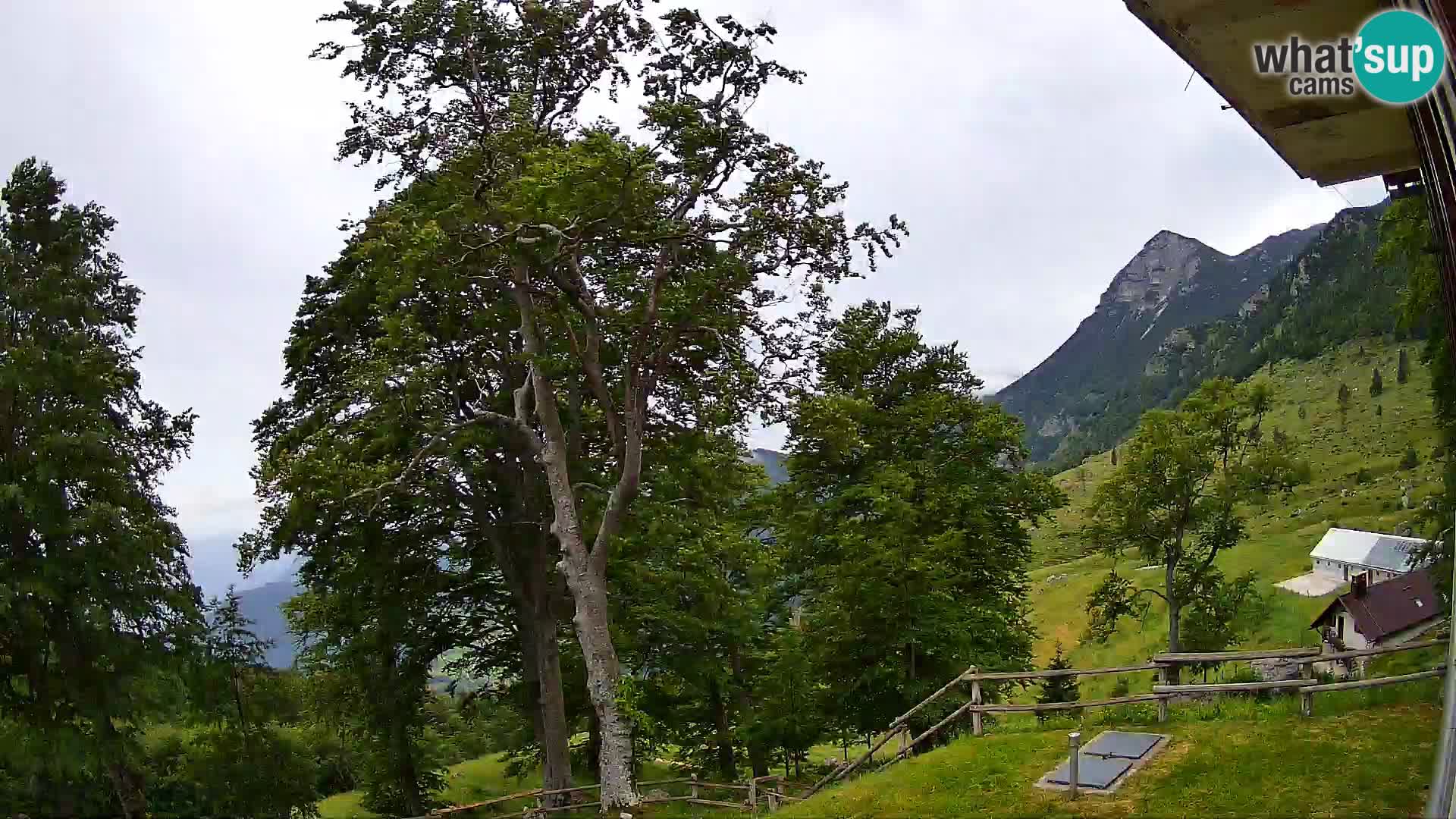 Cámara en vivo de la cabaña de montaña Planina Razor (1315) | vista hacia Tolminski Migovec