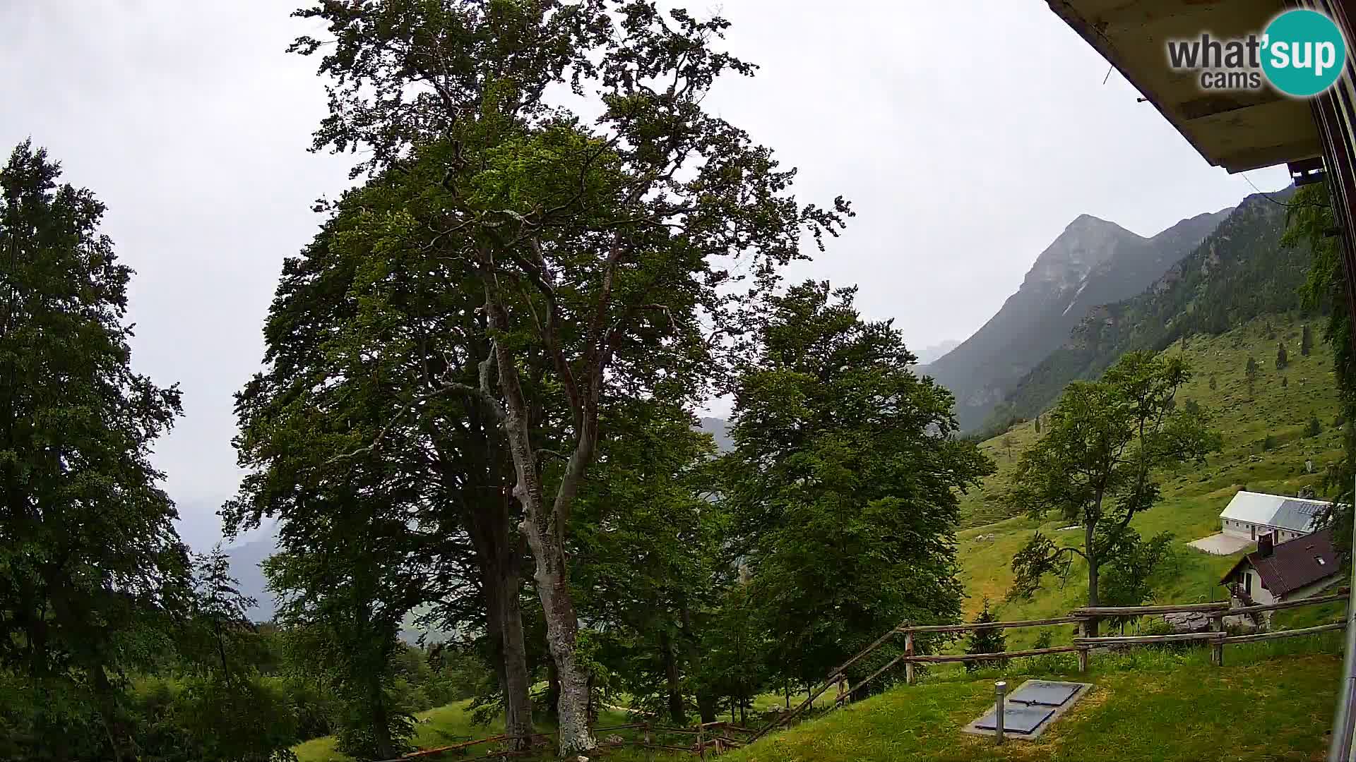 Planina Razor Mountain Hut live cam (1315) | view to Tolminski Migovec