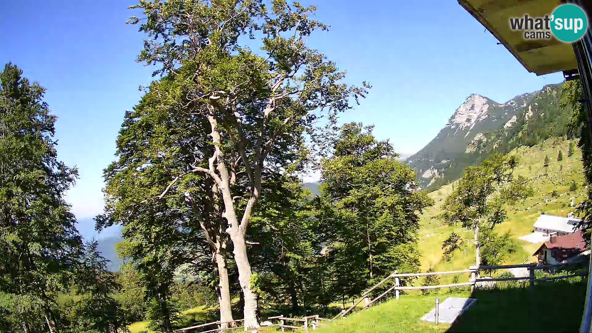 Baita di montagna Planina Razor webcam (1315) | vista su Tolminski Migovec