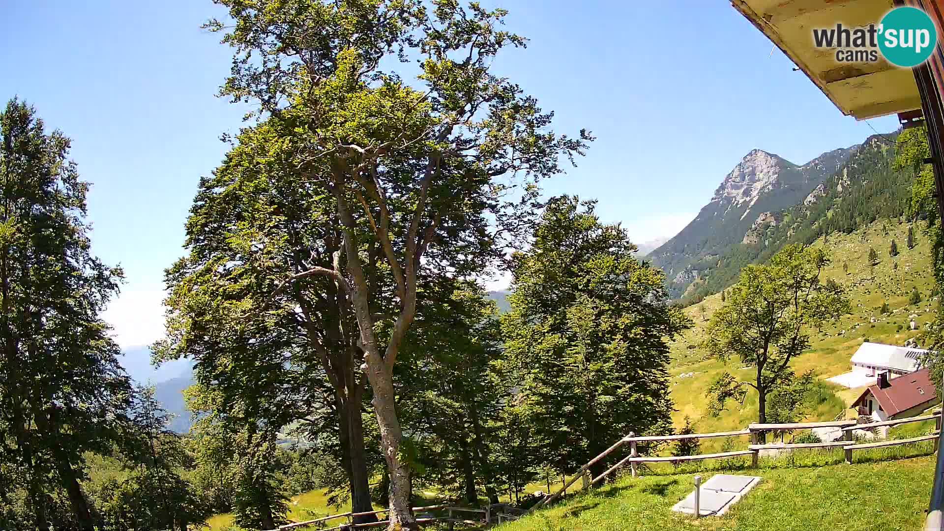 Baita di montagna Planina Razor webcam (1315) | vista su Tolminski Migovec