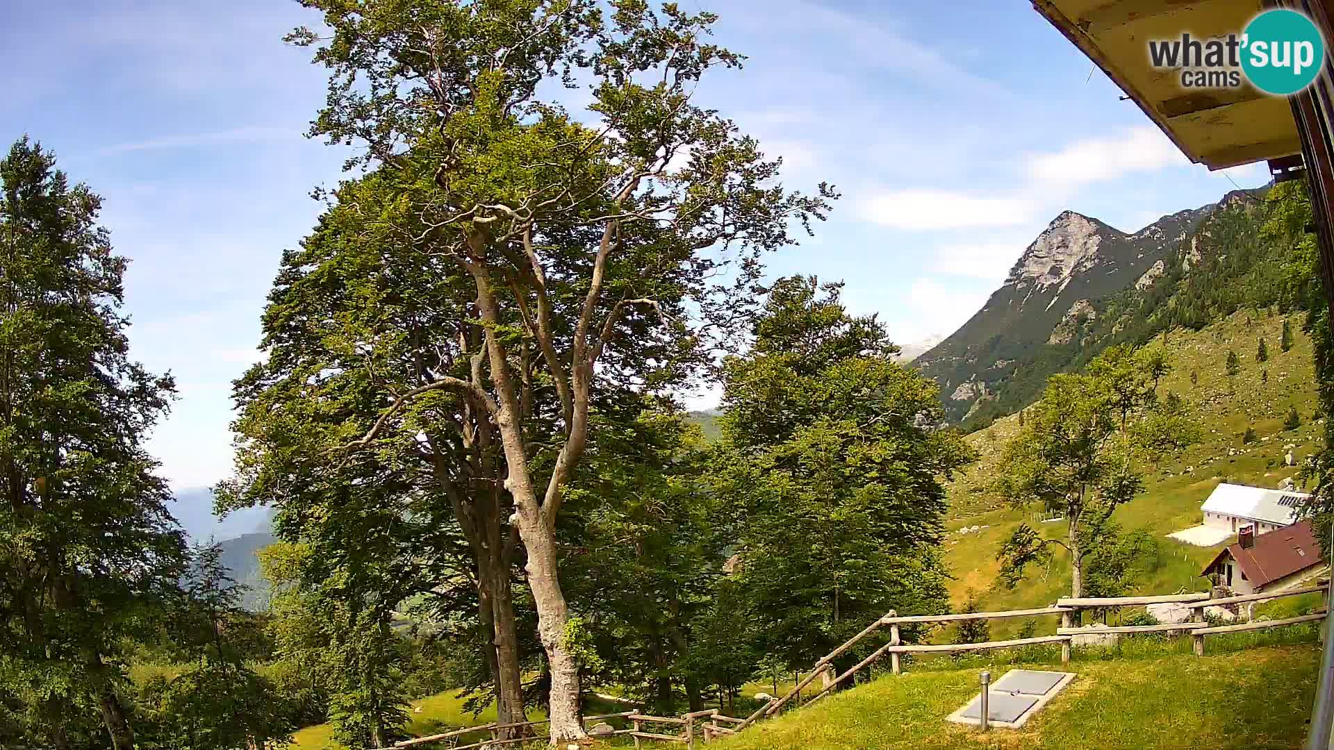 Baita di montagna Planina Razor webcam (1315) | vista su Tolminski Migovec