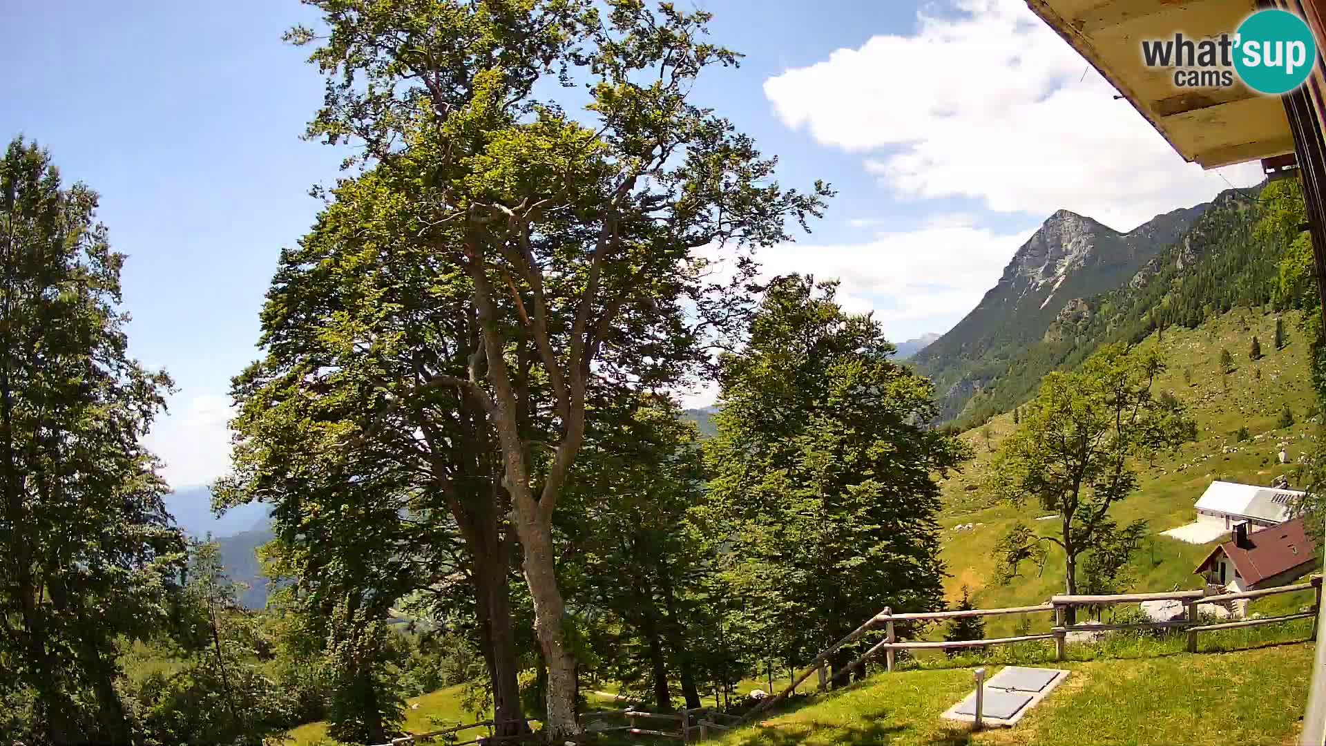 Planina Razor Mountain Hut live cam (1315) | view to Tolminski Migovec