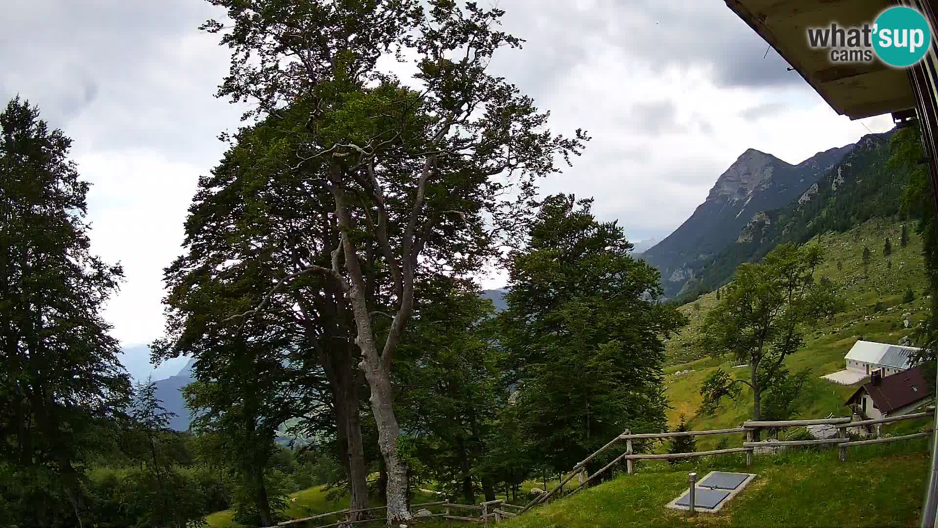 Planina Razor Mountain Hut live cam (1315) | view to Tolminski Migovec