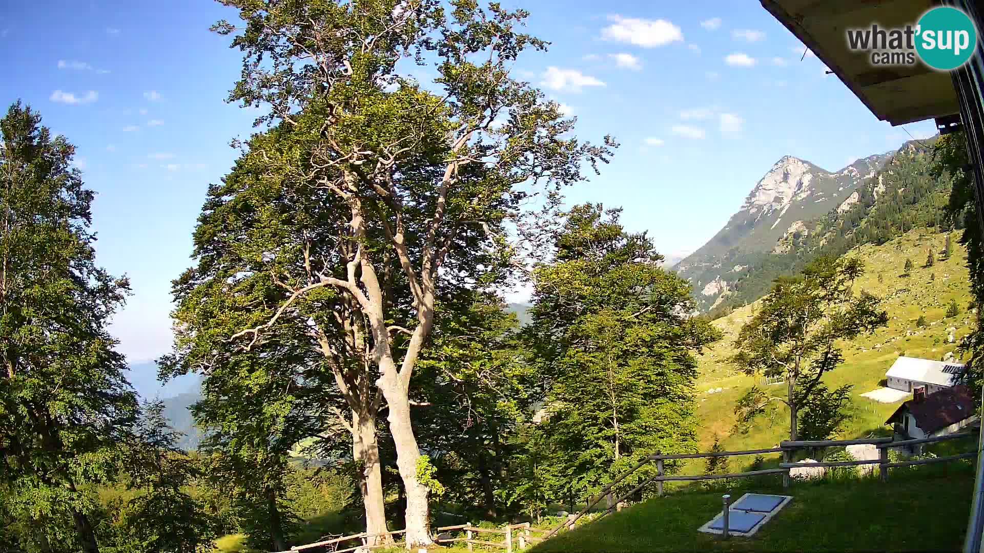 Baita di montagna Planina Razor webcam (1315) | vista su Tolminski Migovec