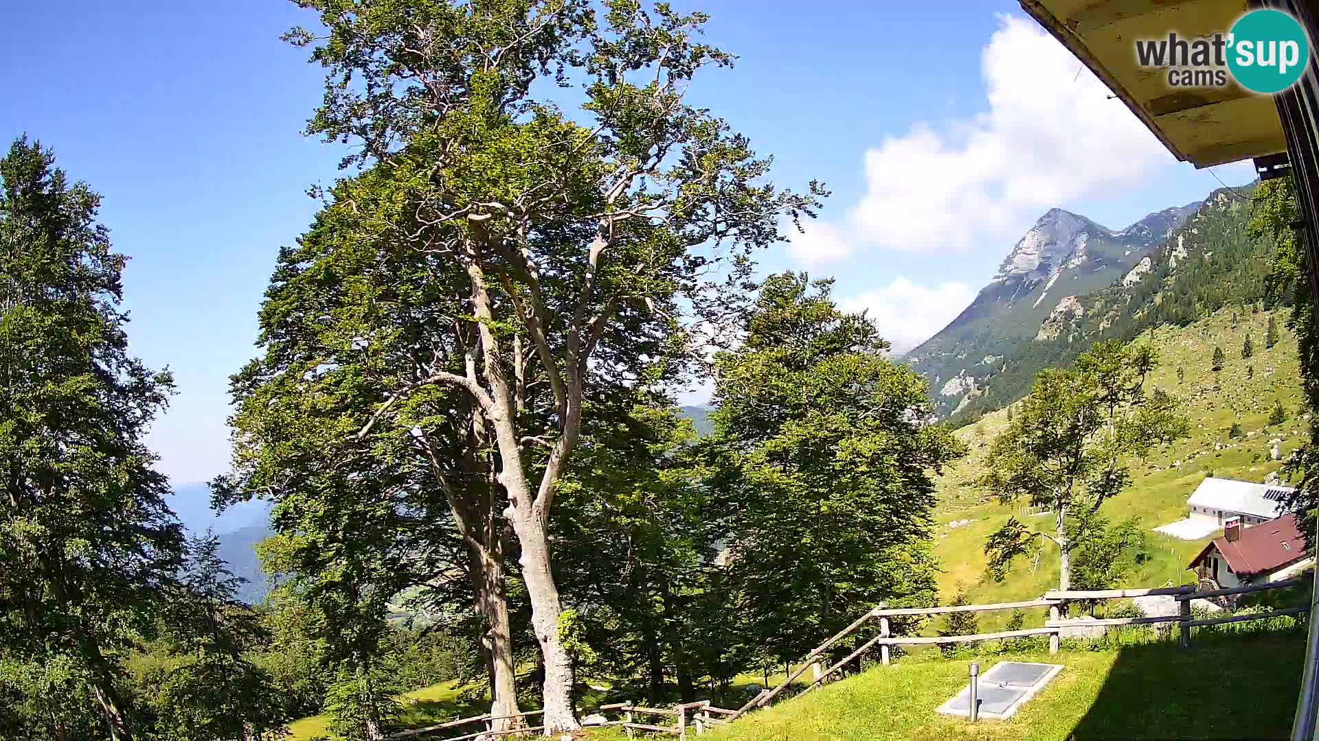 Cámara en vivo de la cabaña de montaña Planina Razor (1315) | vista hacia Tolminski Migovec