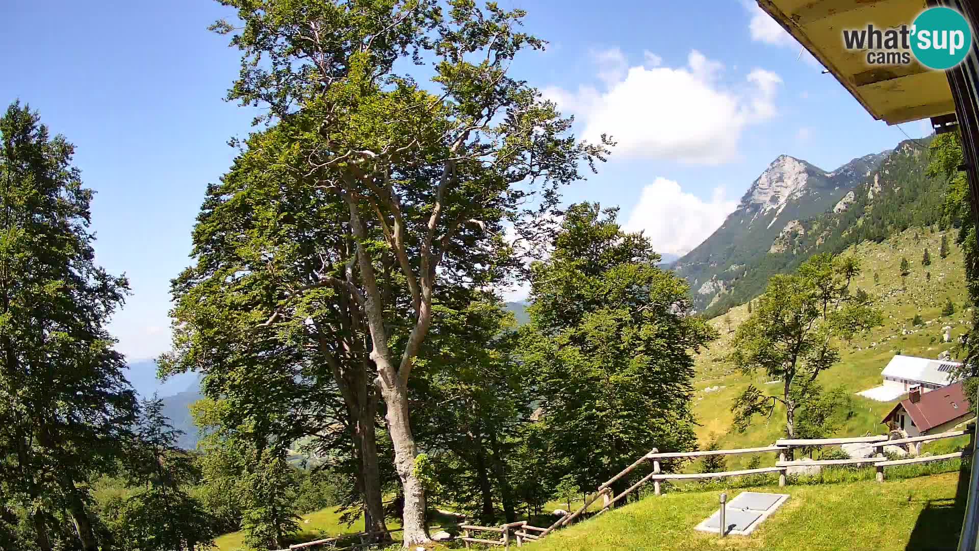 Planina Razor Mountain Hut live cam (1315) | view to Tolminski Migovec