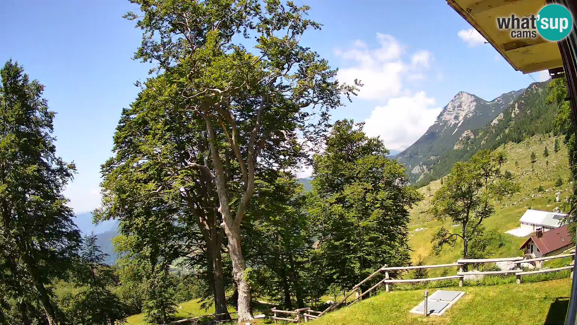 Baita di montagna Planina Razor webcam (1315) | vista su Tolminski Migovec