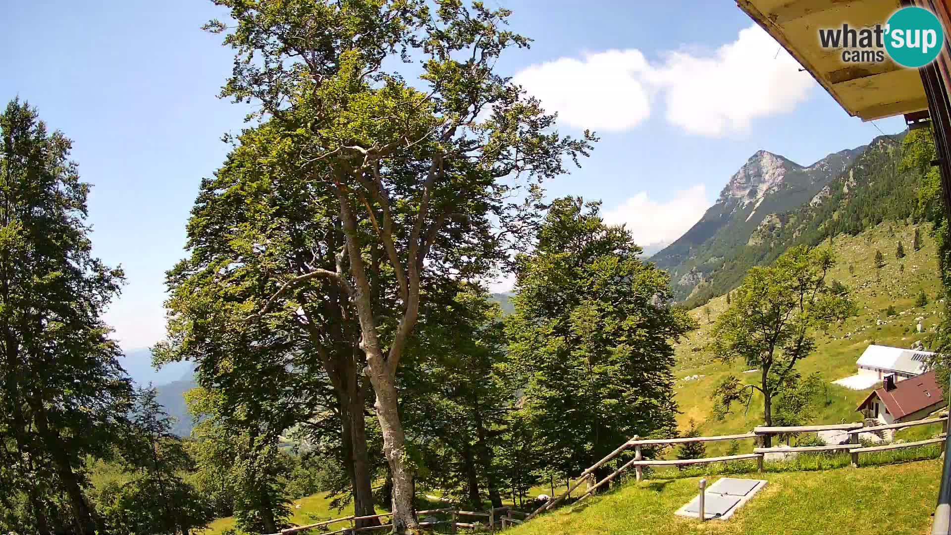 Planina Razor Mountain Hut live cam (1315) | view to Tolminski Migovec