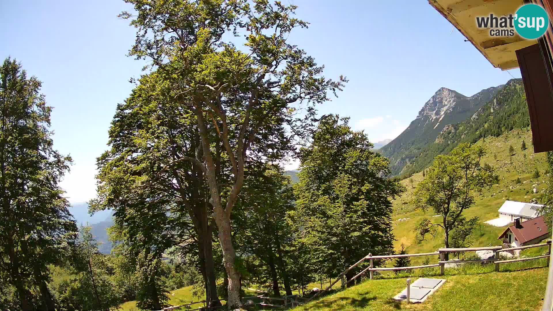 Planina Razor Bergütte Webcam (1315) | Blick auf Tolminski Migovec