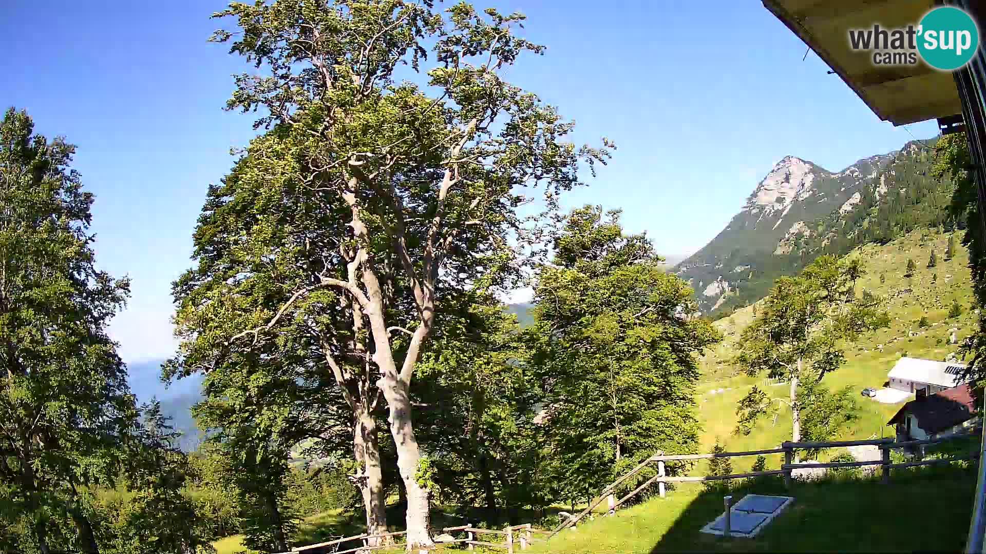 Planina Razor Mountain Hut live cam (1315) | view to Tolminski Migovec
