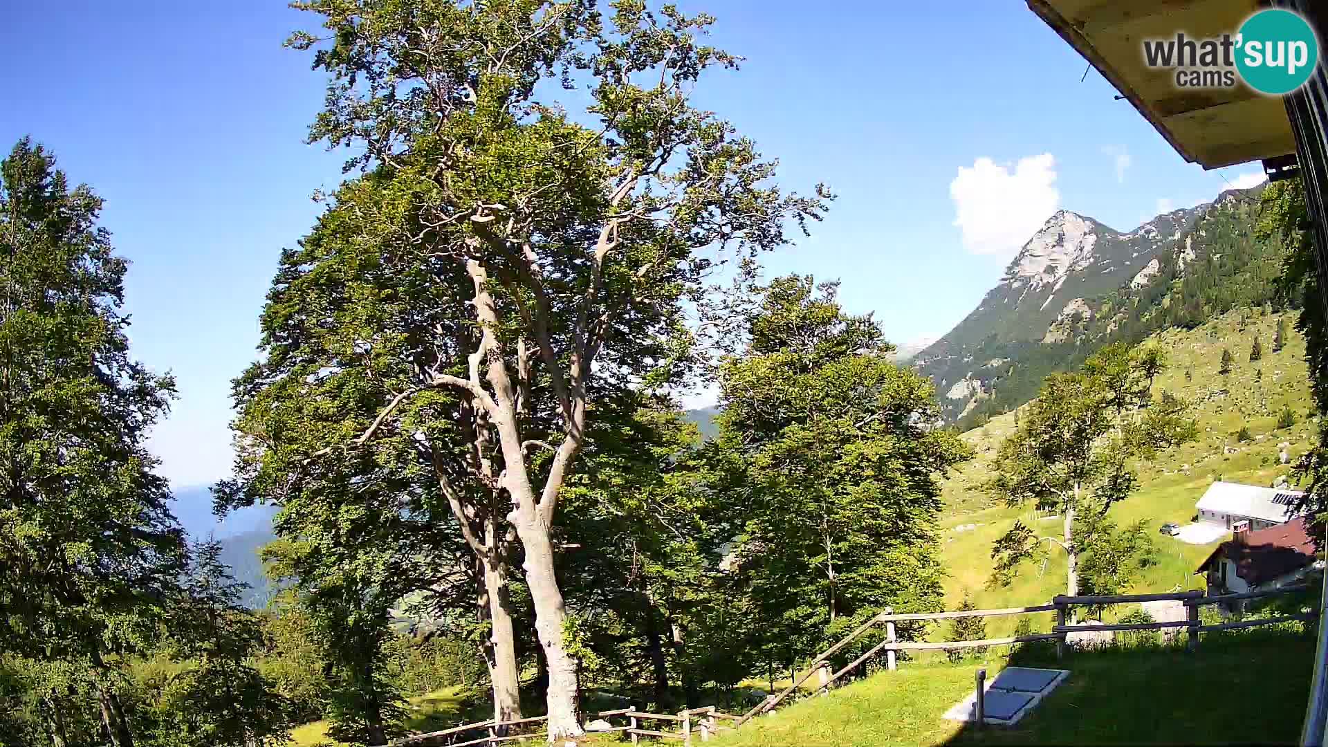 Planina Razor Mountain Hut live cam (1315) | view to Tolminski Migovec