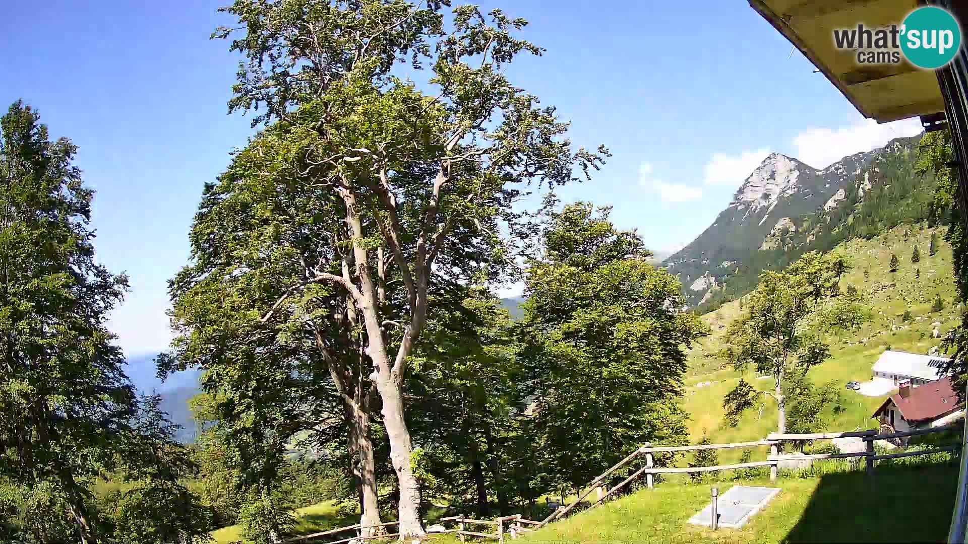 Planina Razor Mountain Hut live cam (1315) | view to Tolminski Migovec