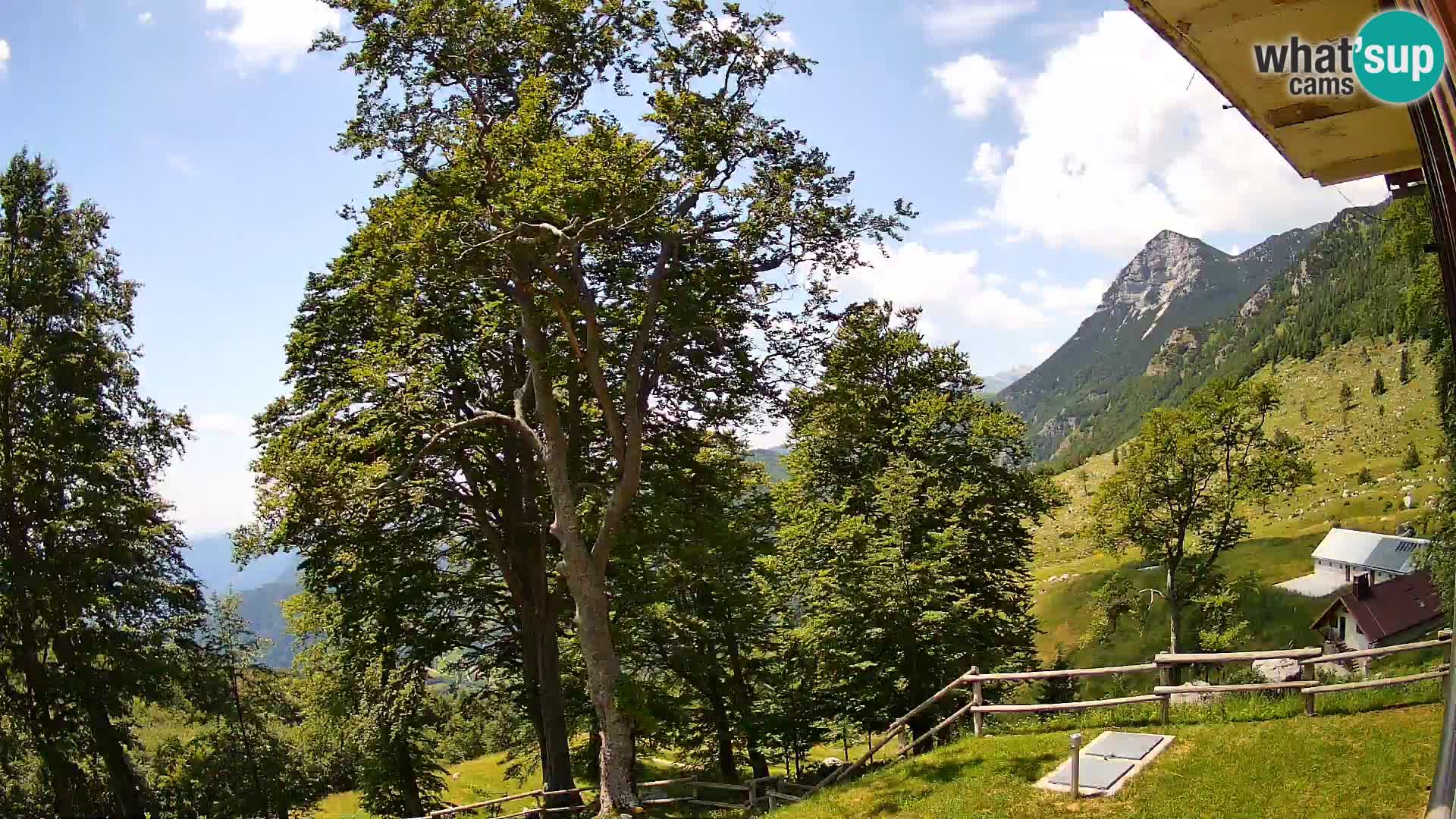 Planina Razor Bergütte Webcam (1315) | Blick auf Tolminski Migovec