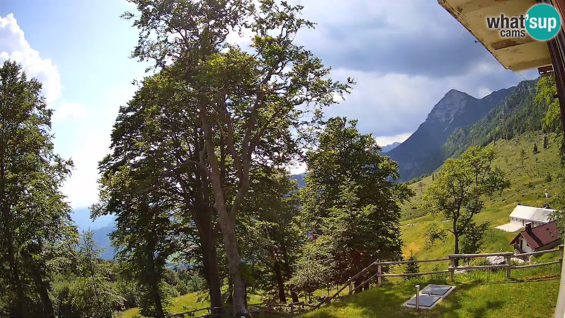Planina Razor Bergütte Webcam (1315) | Blick auf Tolminski Migovec