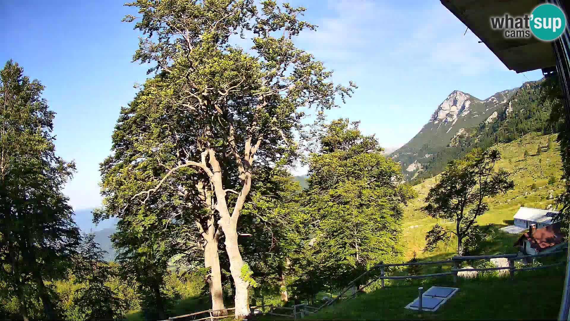 Baita di montagna Planina Razor webcam (1315) | vista su Tolminski Migovec