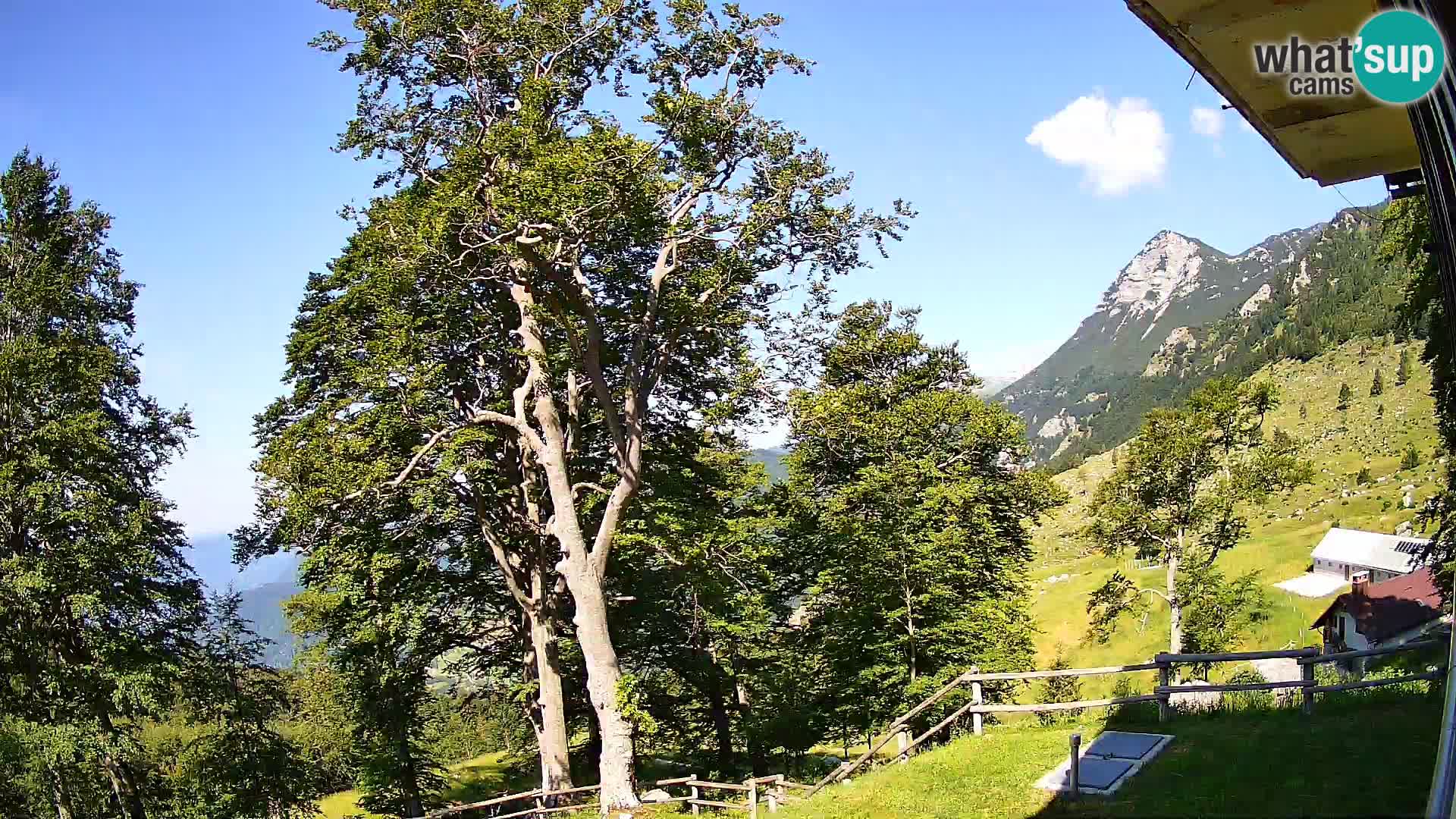 Planina Razor Mountain Hut live cam (1315) | view to Tolminski Migovec